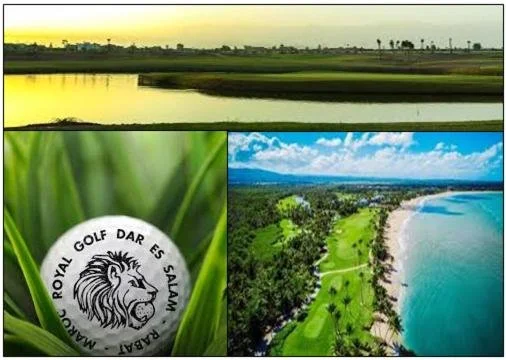 Une composition de quatre images montrant un paysage de rivière au coucher du soleil, un tee-shirt de golf avec un lion, un paysage de plage avec des palmiers et un terrain de golf près de la mer.