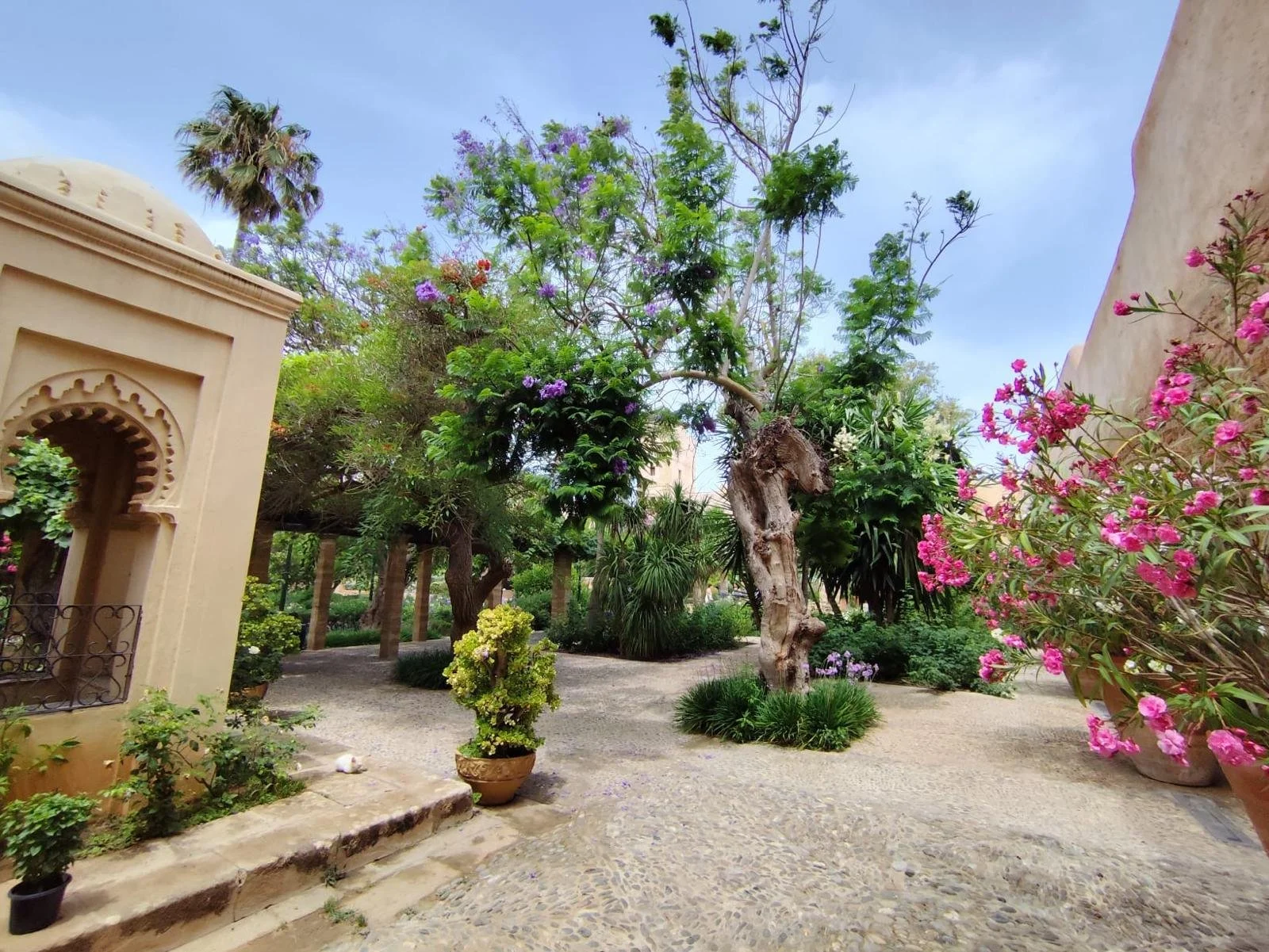 Jardin méditerranéen avec arbres, buissons fleuris, pots en terre cuite, murs en plâtre, ciel bleu, ambiance paisible.