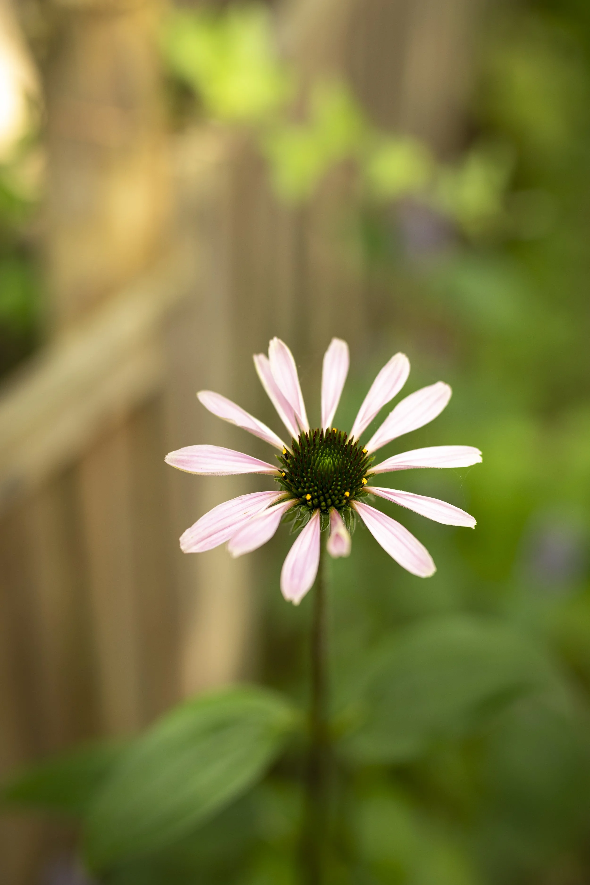 Solidarität und Inklusion