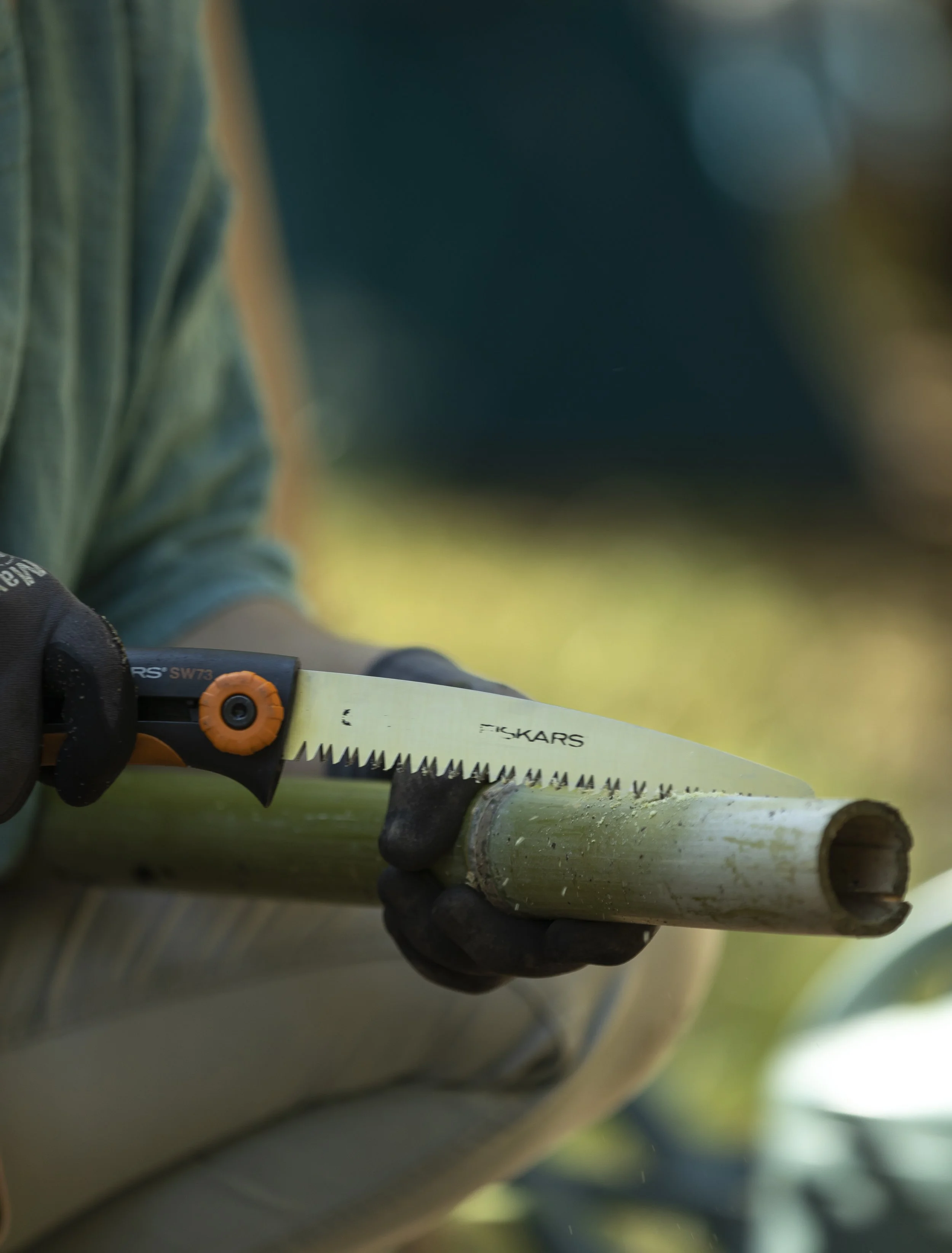 Solidarität und Inklusion