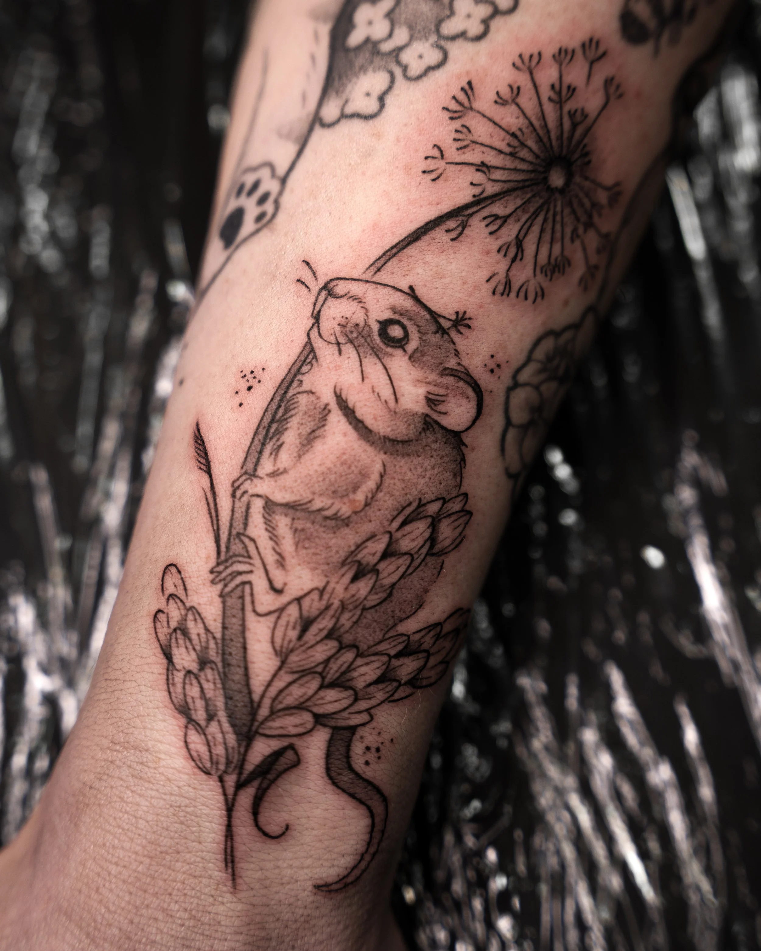 Foto 12.04.24, 12 32 24.jpg