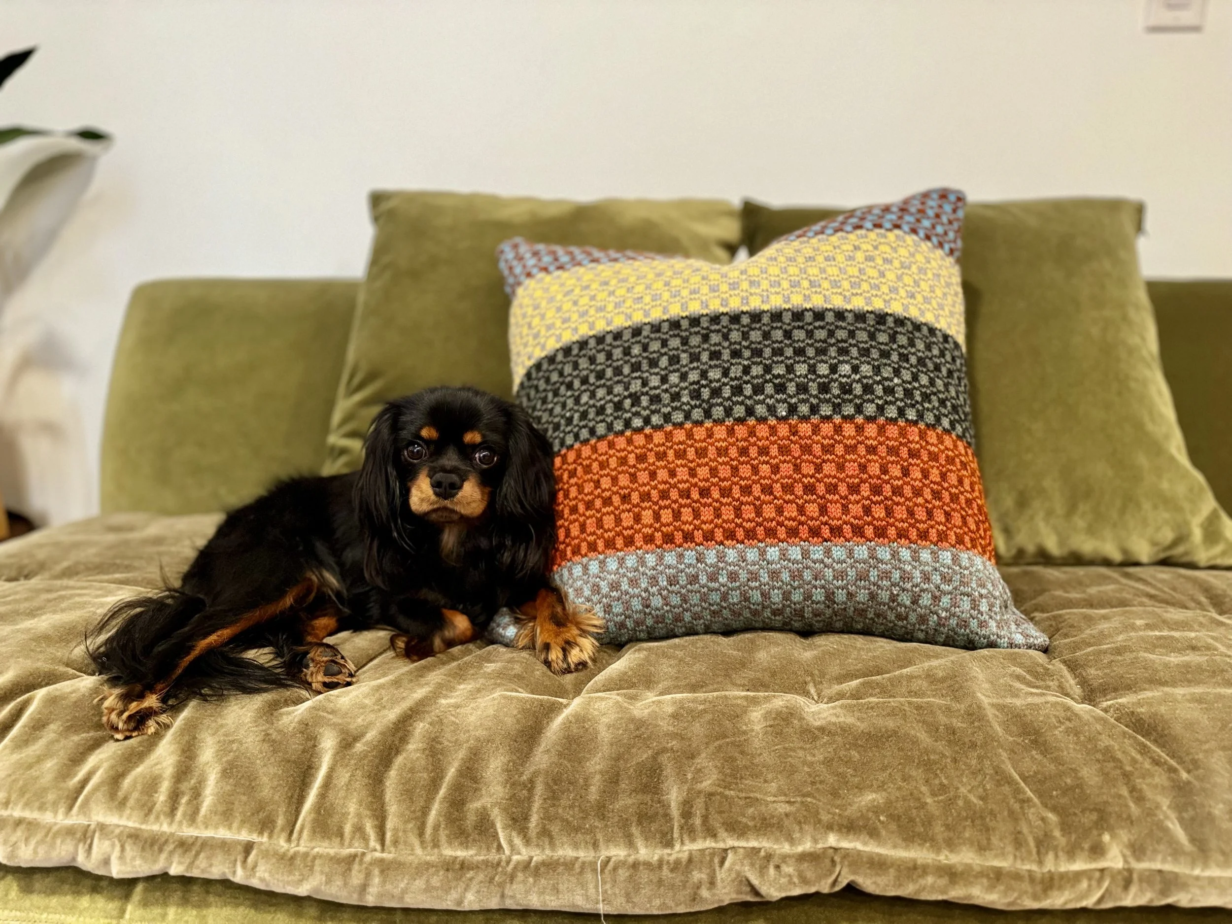 Knitting | Butterfly Geo Cushion