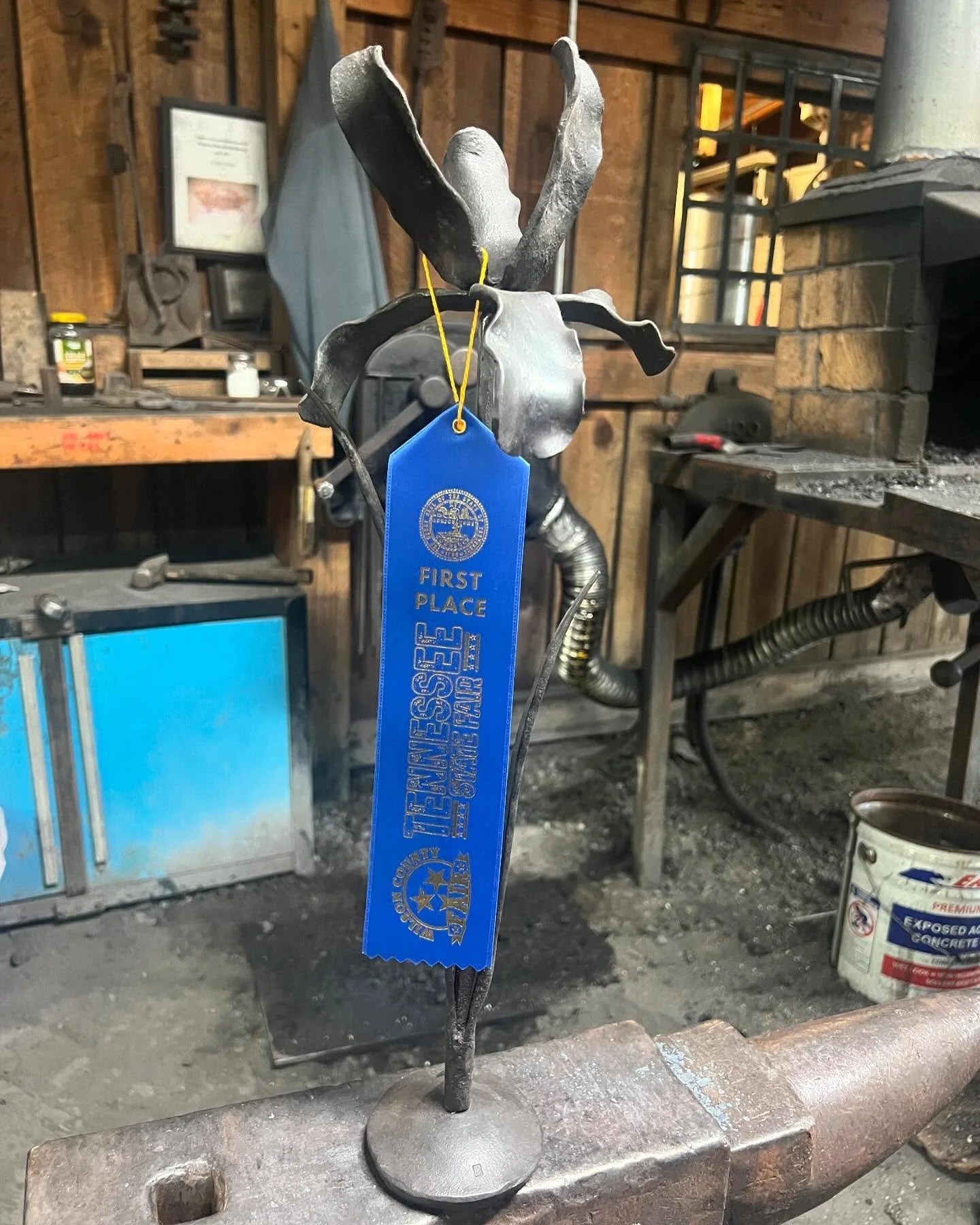 Iris — First Place at the Tennessee State Fair, August 2024.