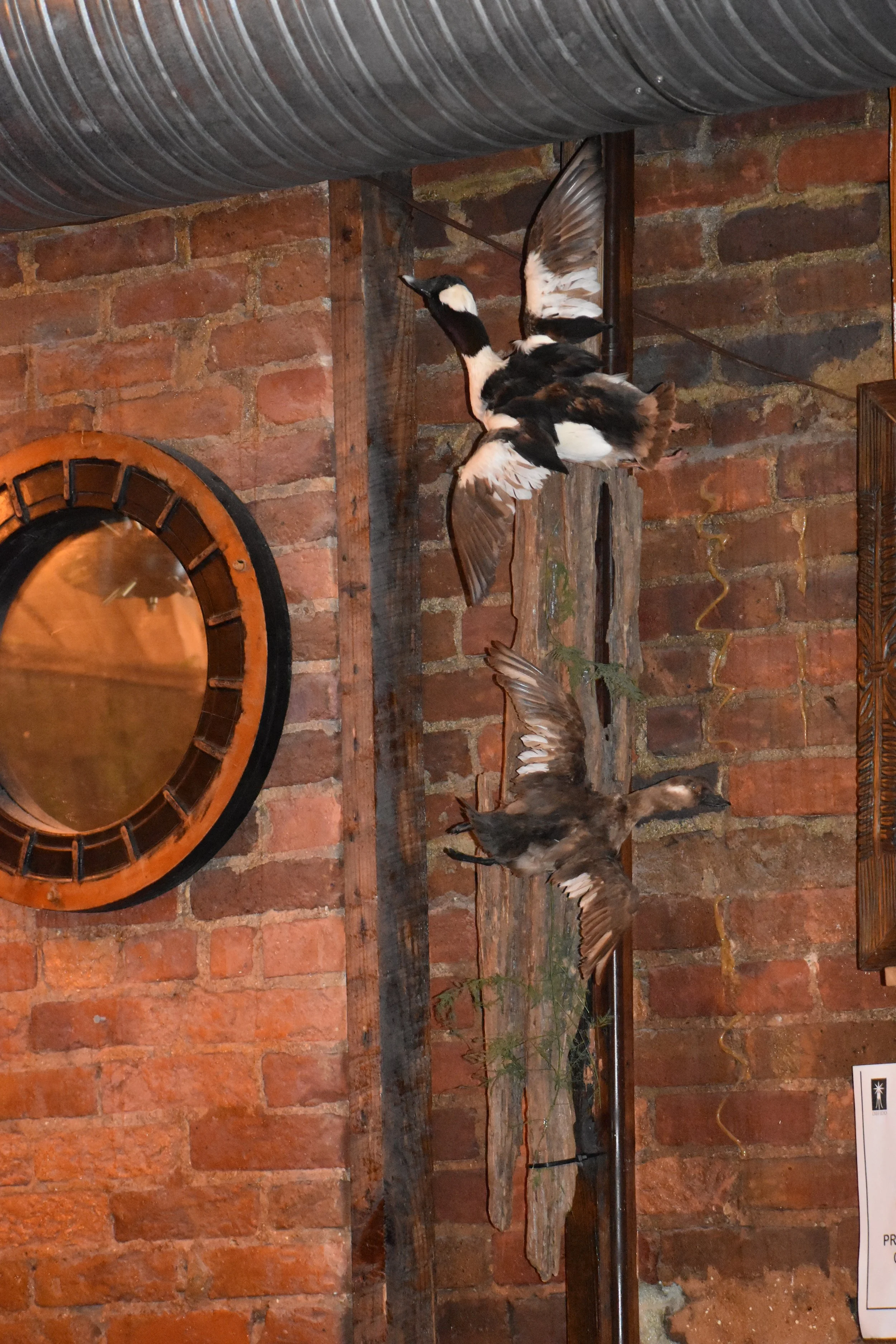 Decorative mounted bird sculptures on a wooden backdrop against a brick wall, with a round mirror and a metal pipe above. Hamp & Harry's Marietta Square.