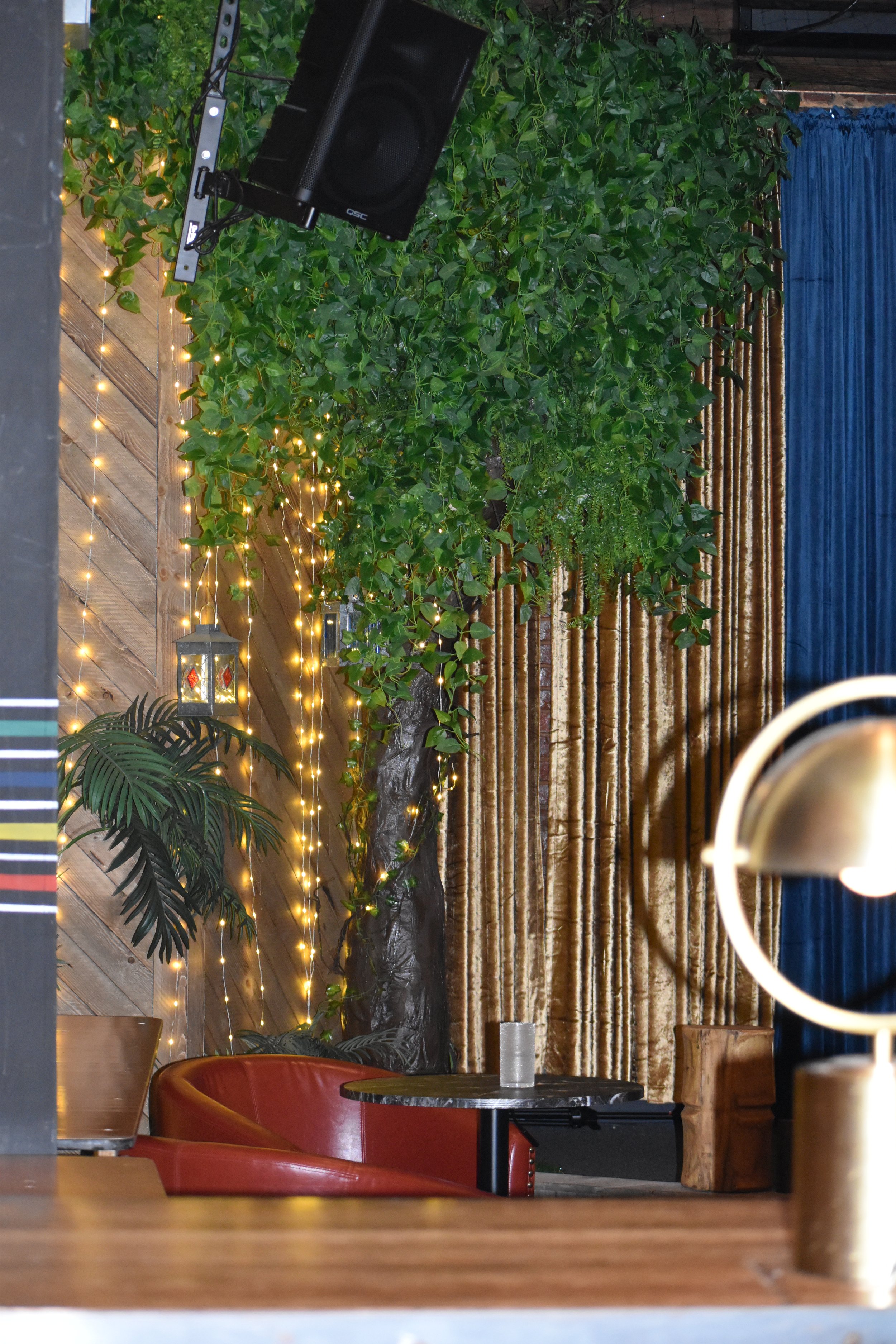 Interior of a cozy lounge or cafe with green plants, string lights, a red leather chair, a small table with a glass, and a blue curtain.