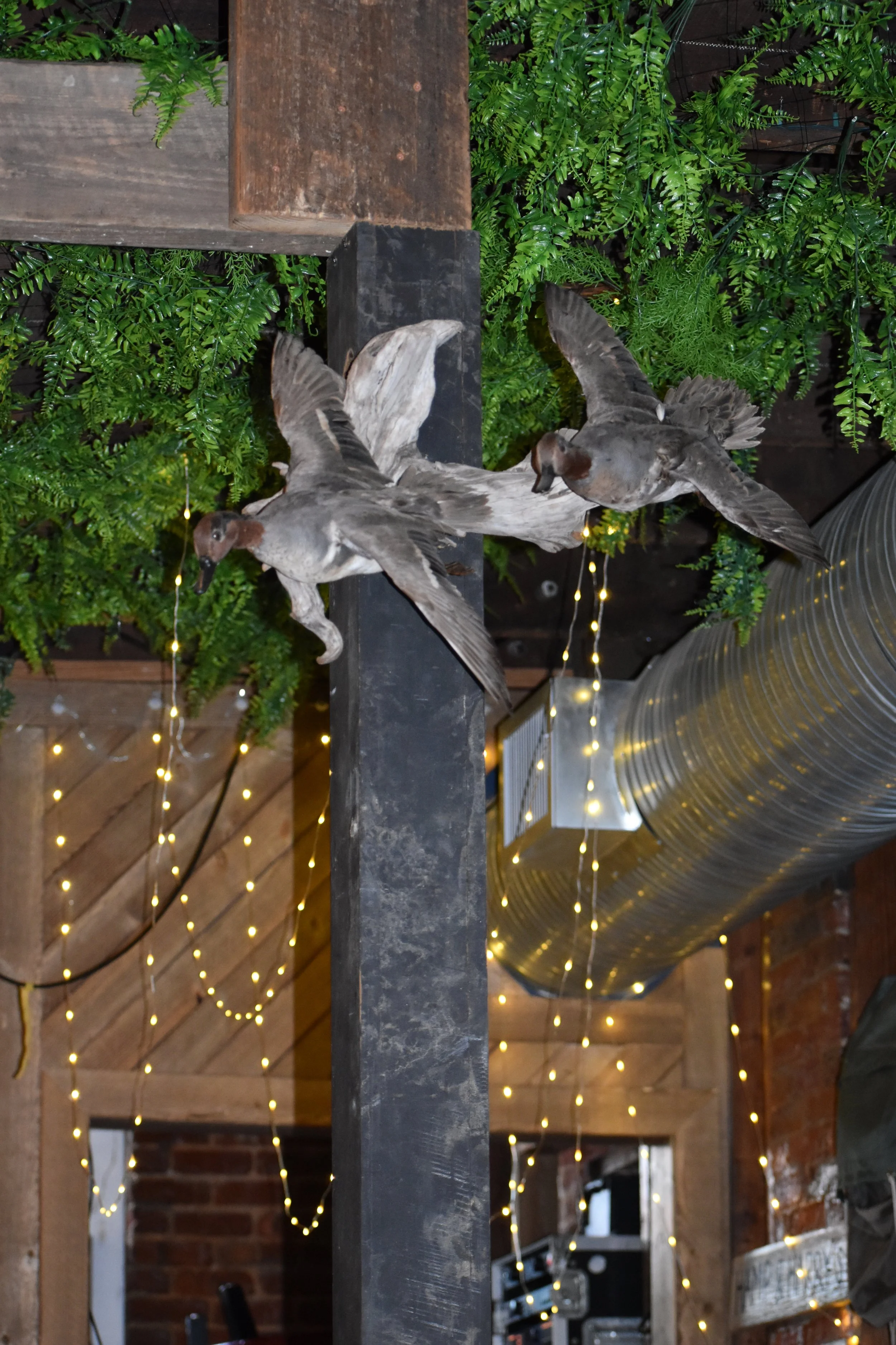 Decorative indoor scene with artificial birds, greenery, string lights, and industrial ductwork. Hamp & Harry's Marietta Square.