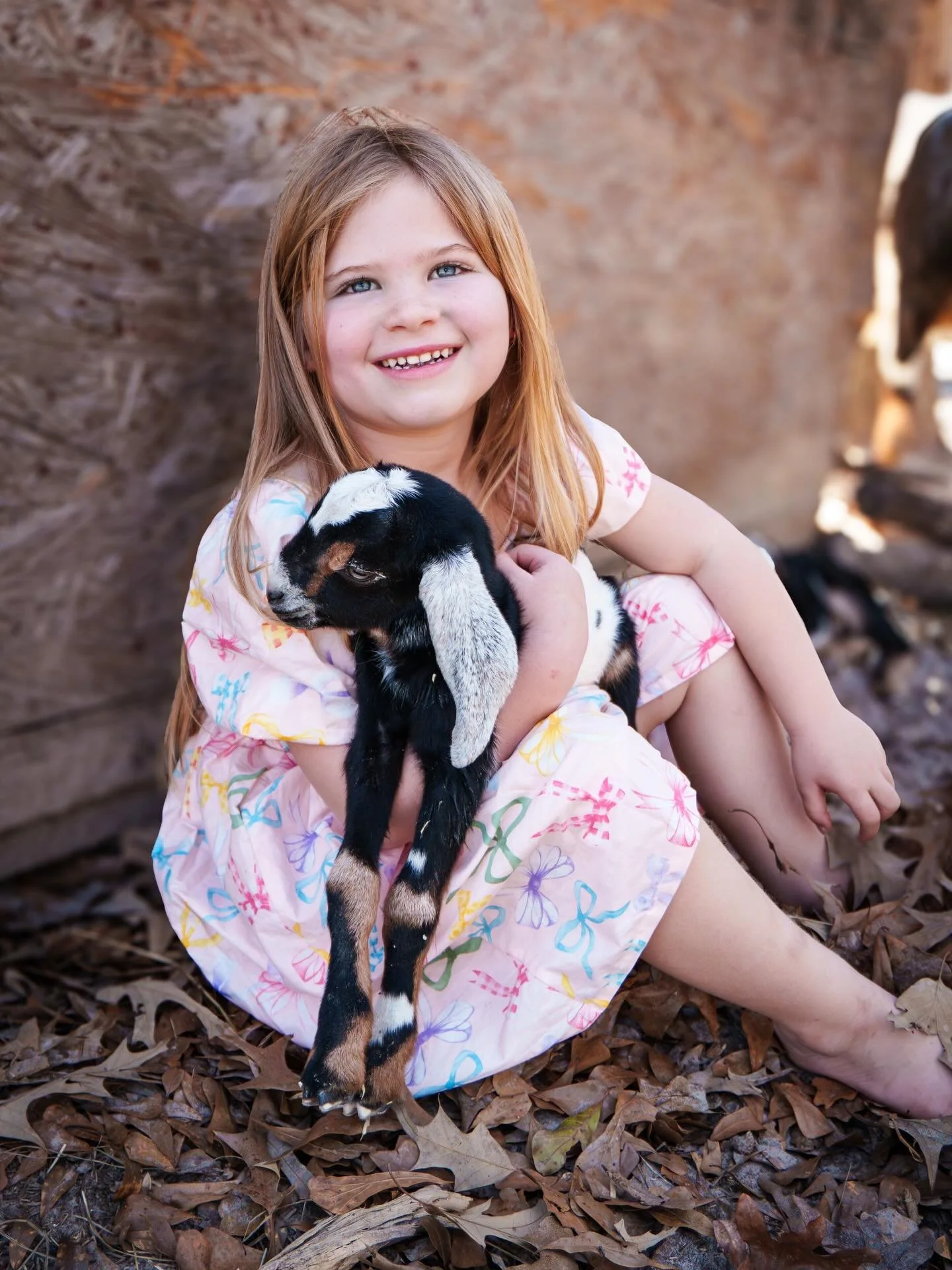 Farm Kid&rsquo;s POV: it&rsquo;s a hot 80 degree day in Tx in February. You have your brand new spring dress on that you just bought yesterday. Then your goat has babies, and now you&rsquo;re plopped in the dirt in that brand new dress cuddling a swe