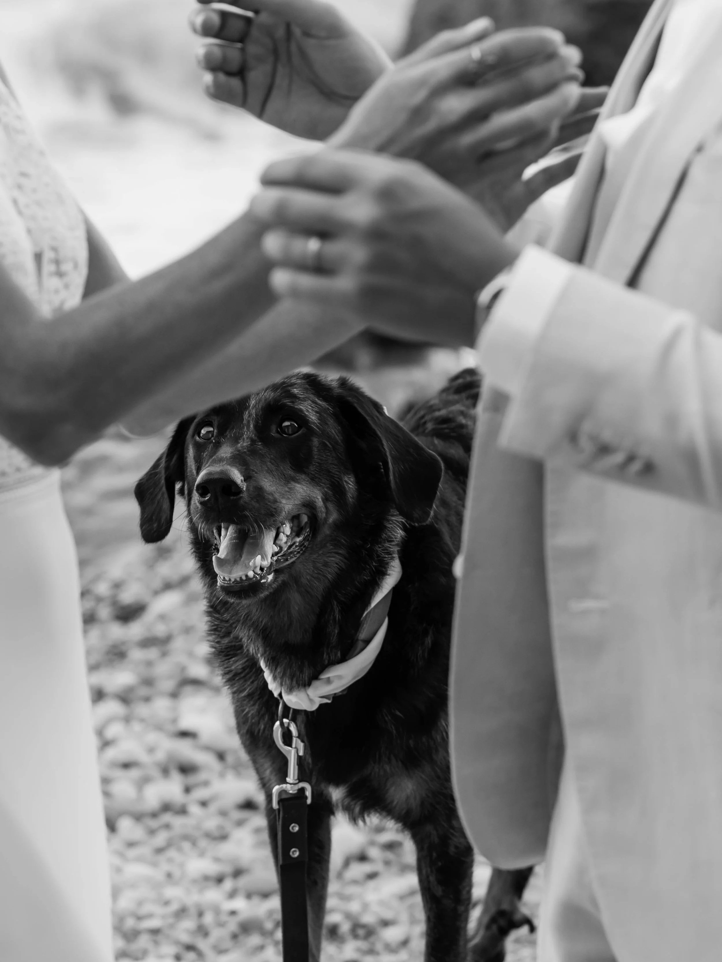 Boda+Caroline_+Jeffrey+and+Nusa+por+La+Kuriosa-541.jpg
