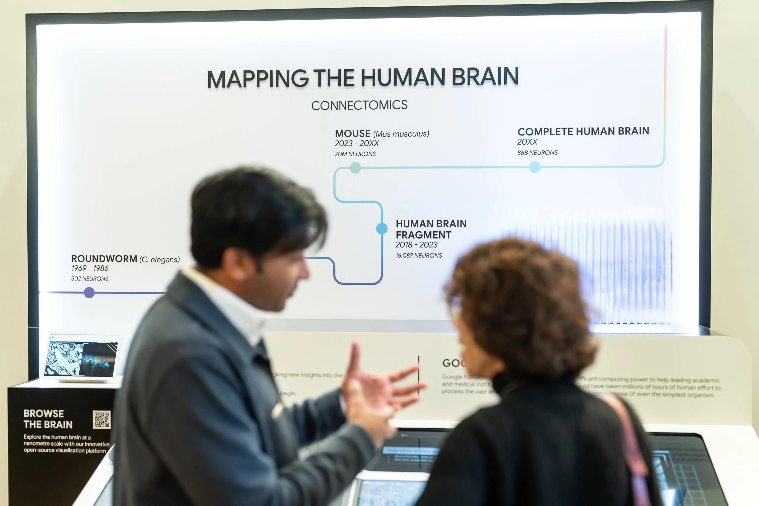 118_CM301348_AISF_Lunch including demos.jpg