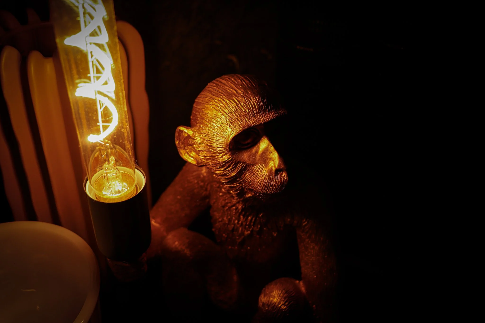 A dimly lit scene featuring a decorative lamp with a filament bulb on the left and a golden gorilla head sculpture on the right.