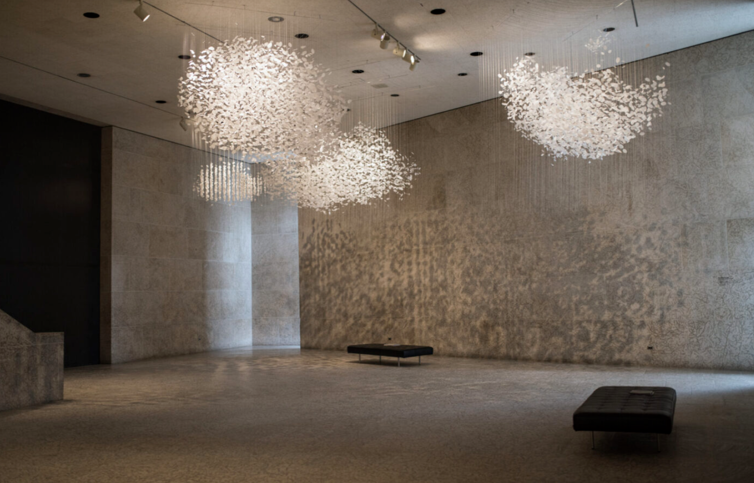 Screen Shot 2021-06-01 at 1.08.45 PM.png