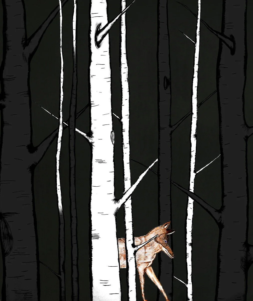 JulieNagam_Still_5 copy.jpeg