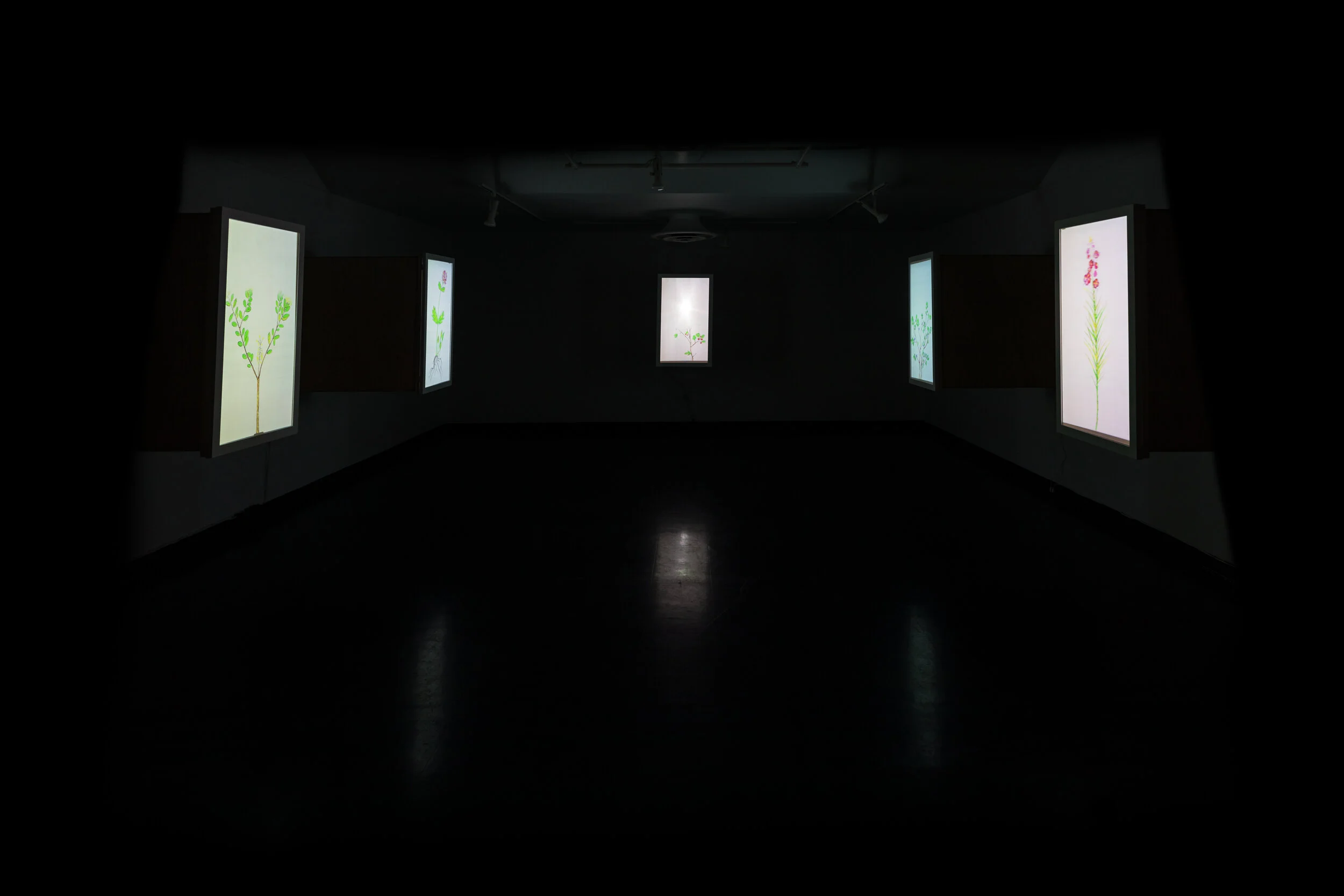 locating the little heartbeats