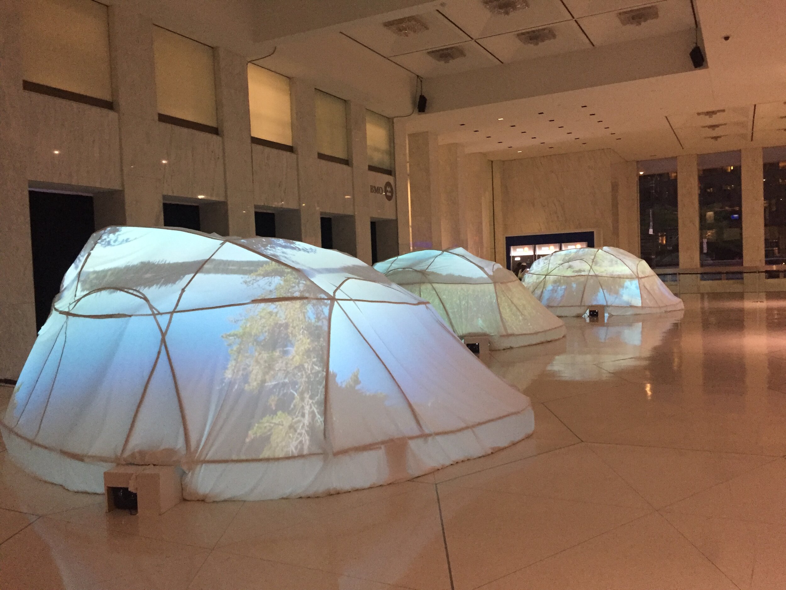 NAGAM speaking to the moon.JPG