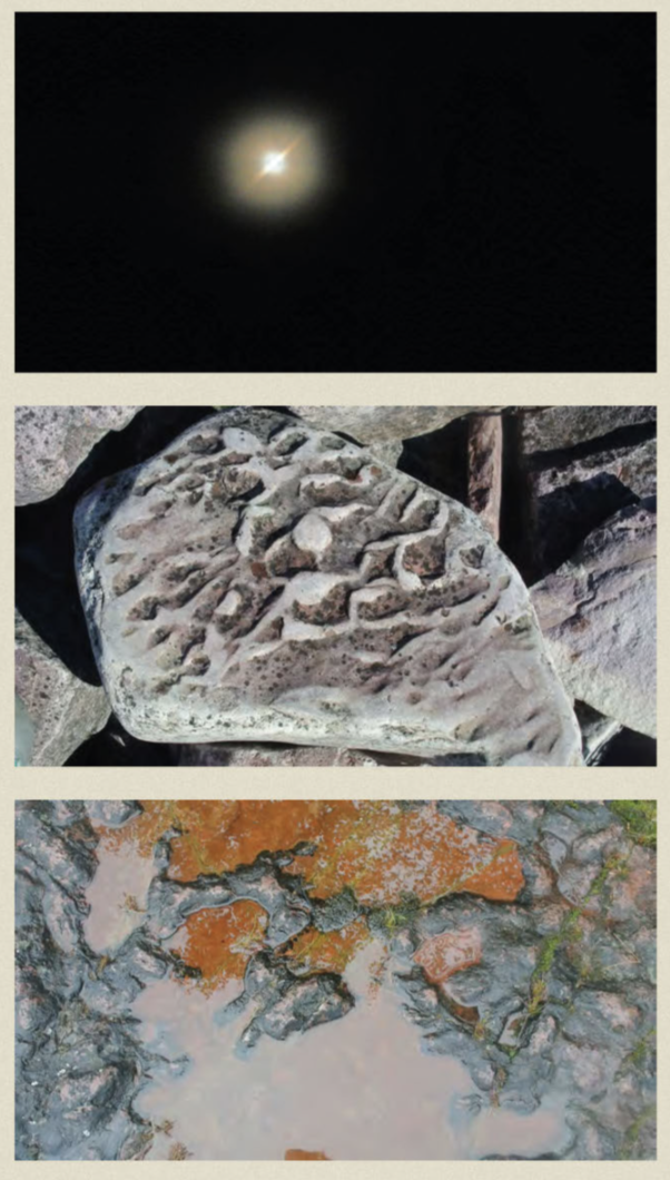 Screen Shot 2021-06-02 at 12.16.34 PM.png