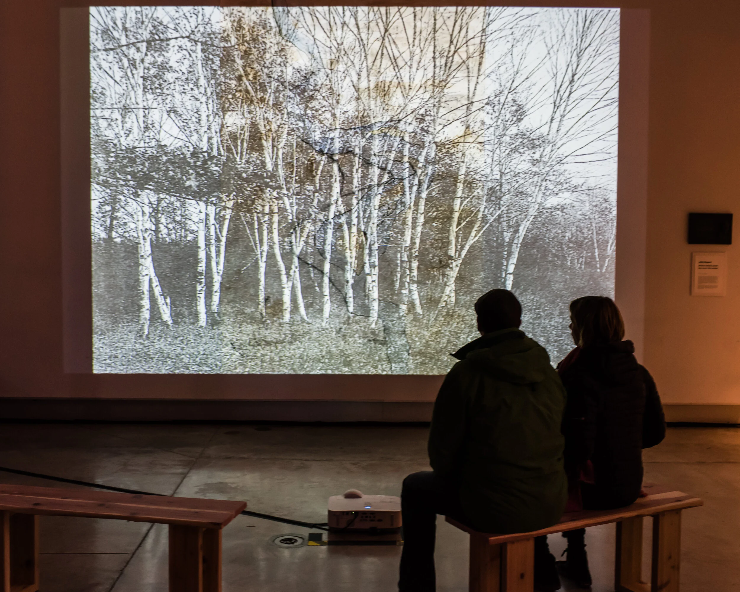 23. Nagam white pines ocad 2 2015.jpg