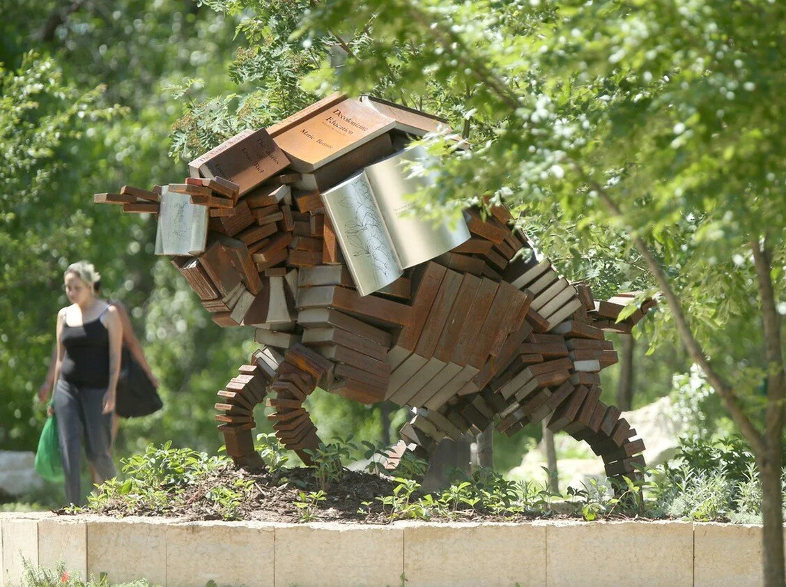 Education is the New Bison