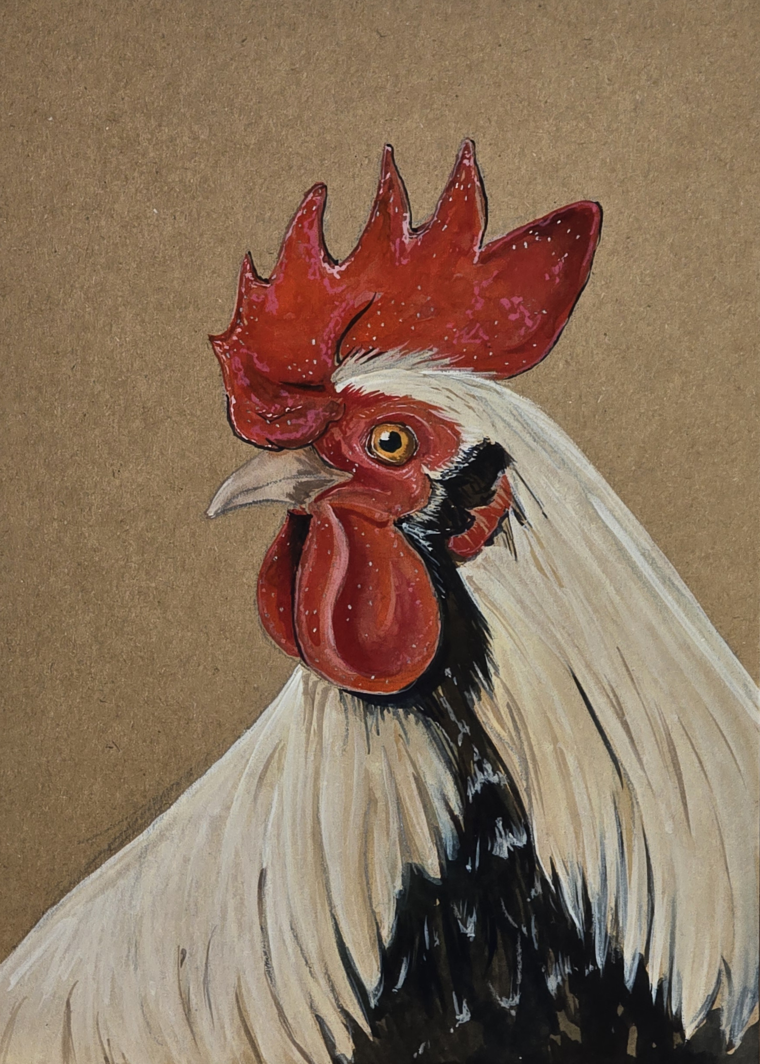 Black and White Rooster