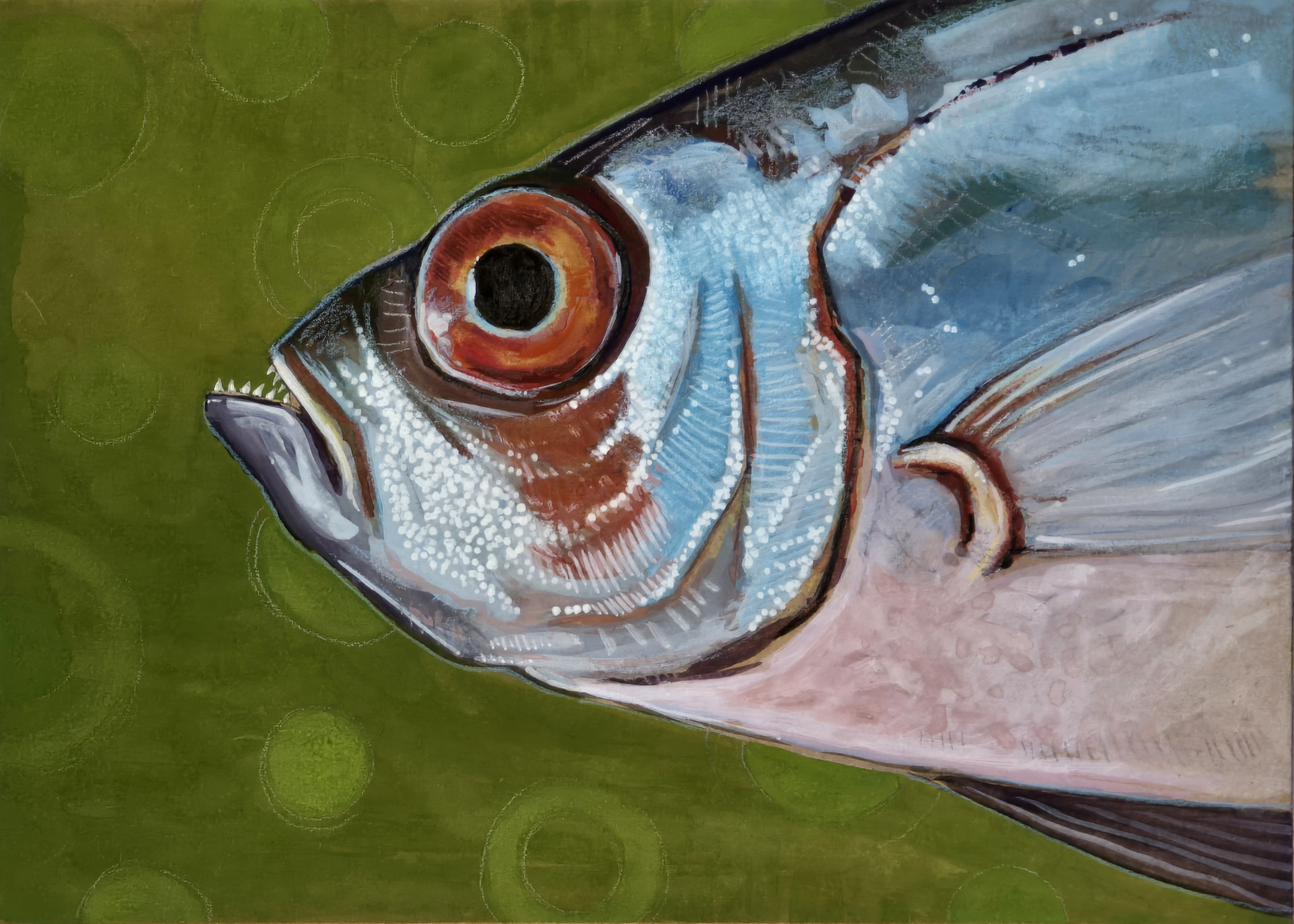 Fish Study: Silver