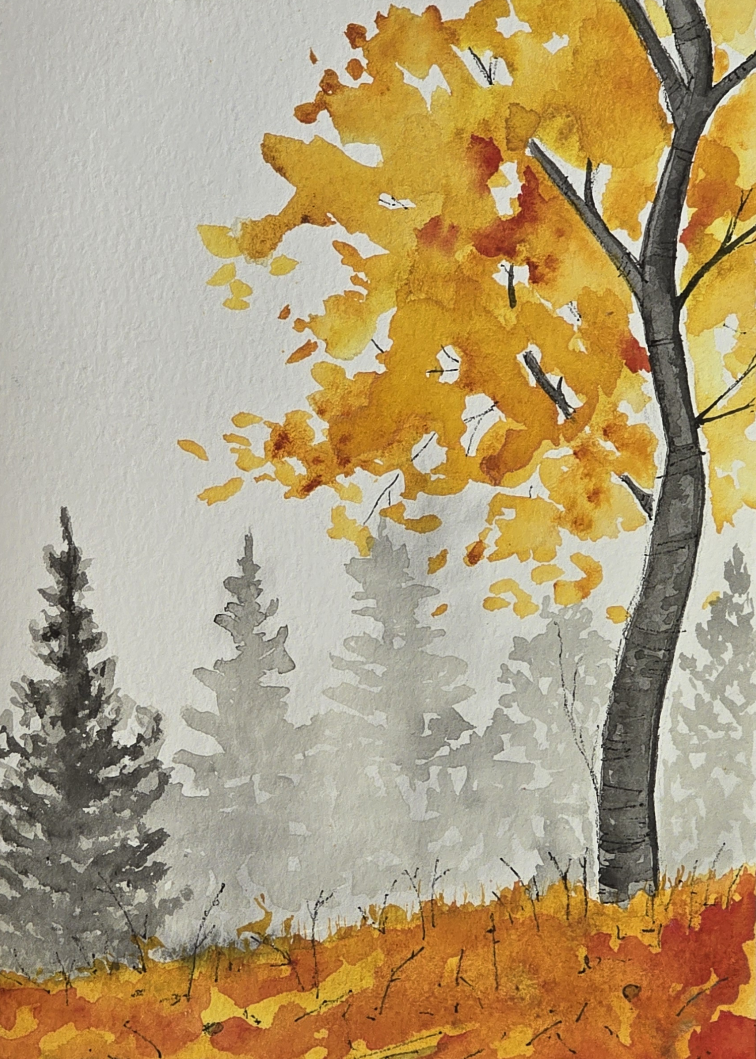 Fall tree study