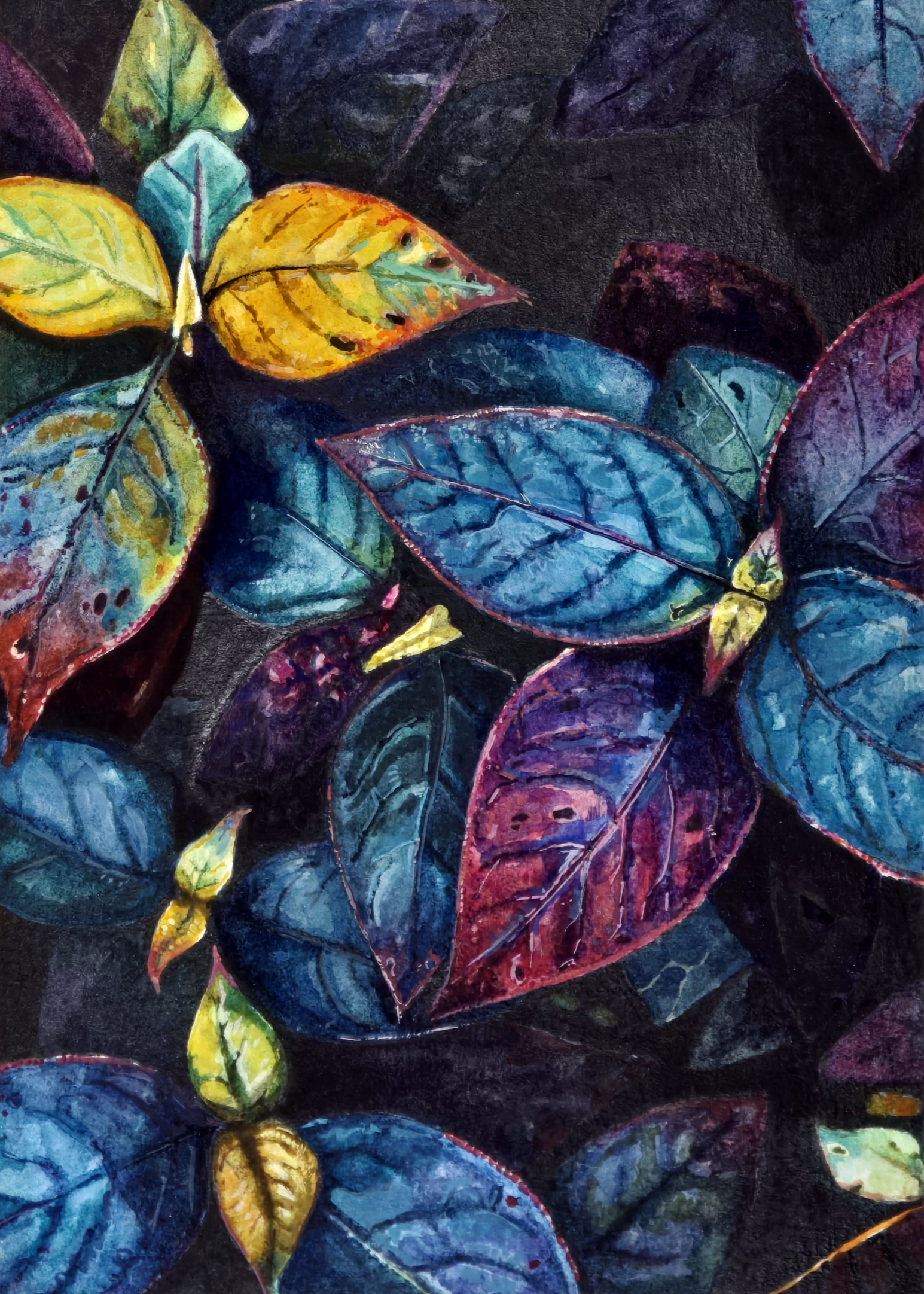 Colorful Plant Study