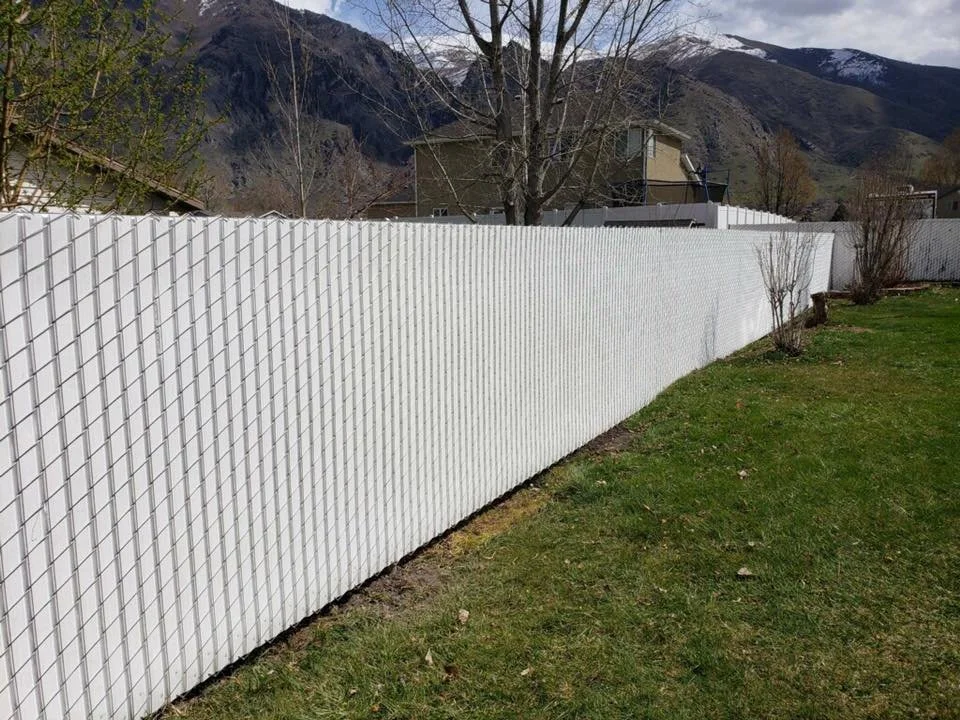 privacy chain link.jpg