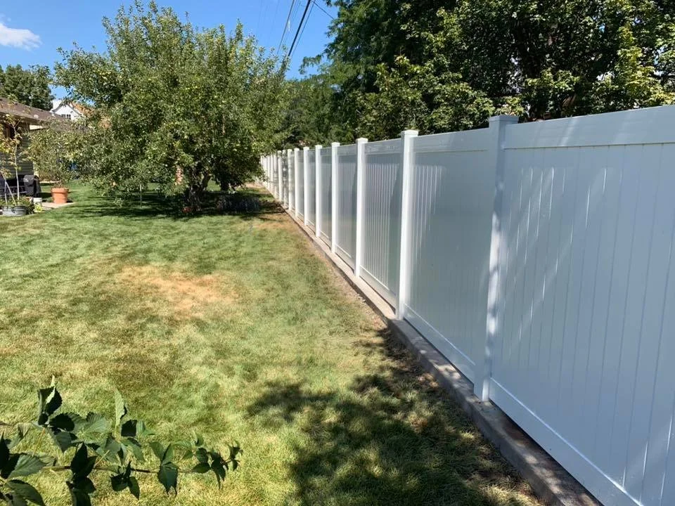 fence with mowstrip.jpg