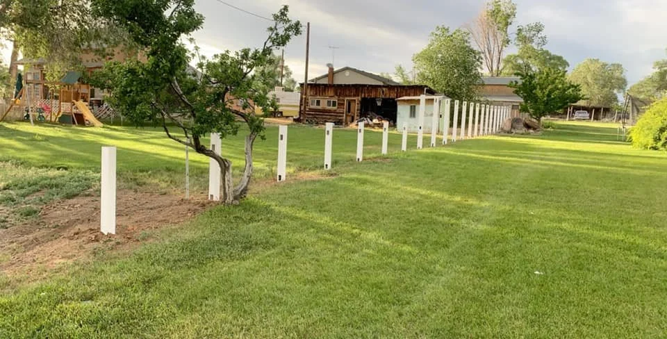 privacy and open picket posts only.jpg