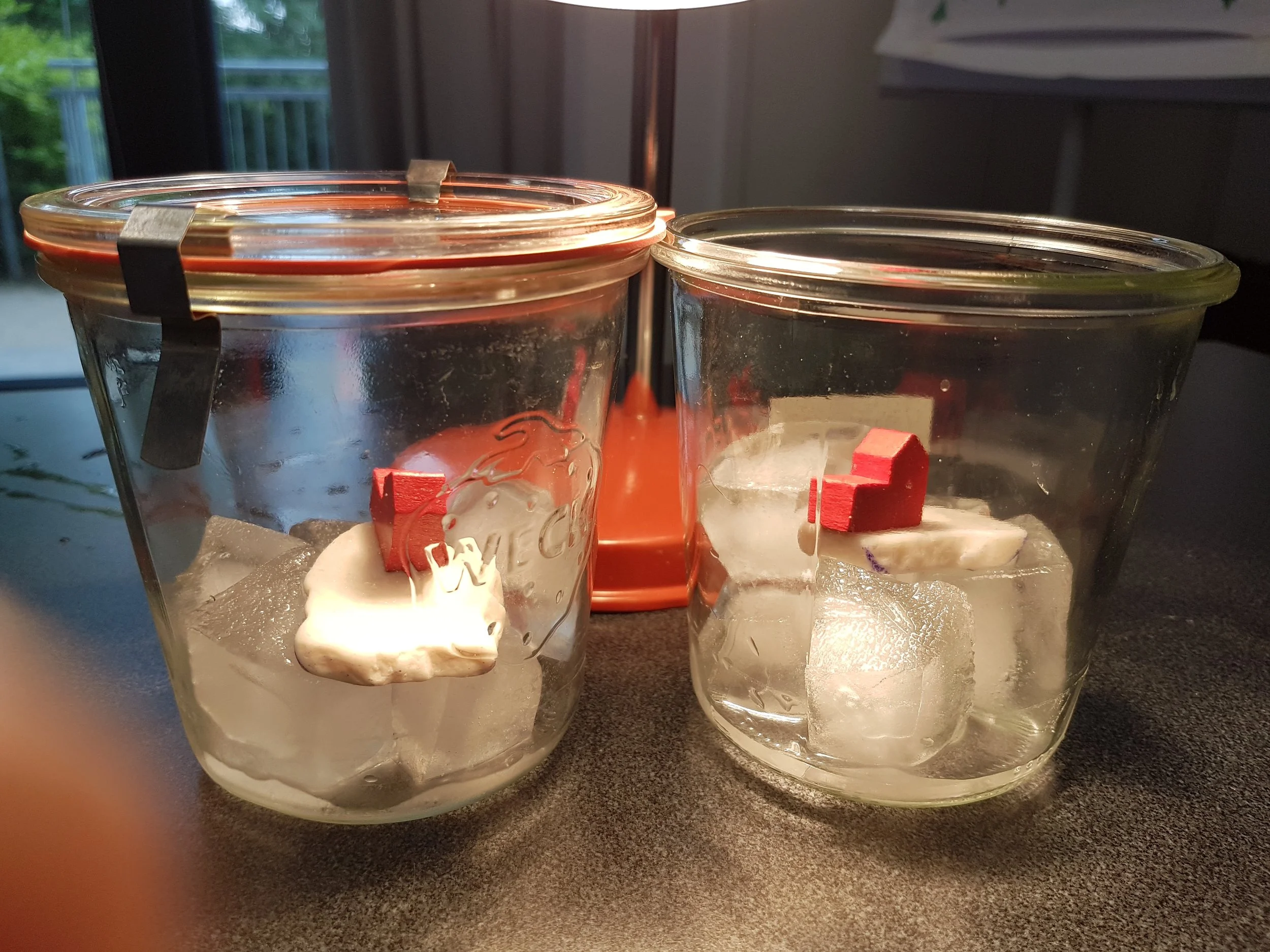 Experiment Klimawandel - BNE - Schuljahr der Nachhaltigkeit - Klimamodul - WandelWerkstattWelt