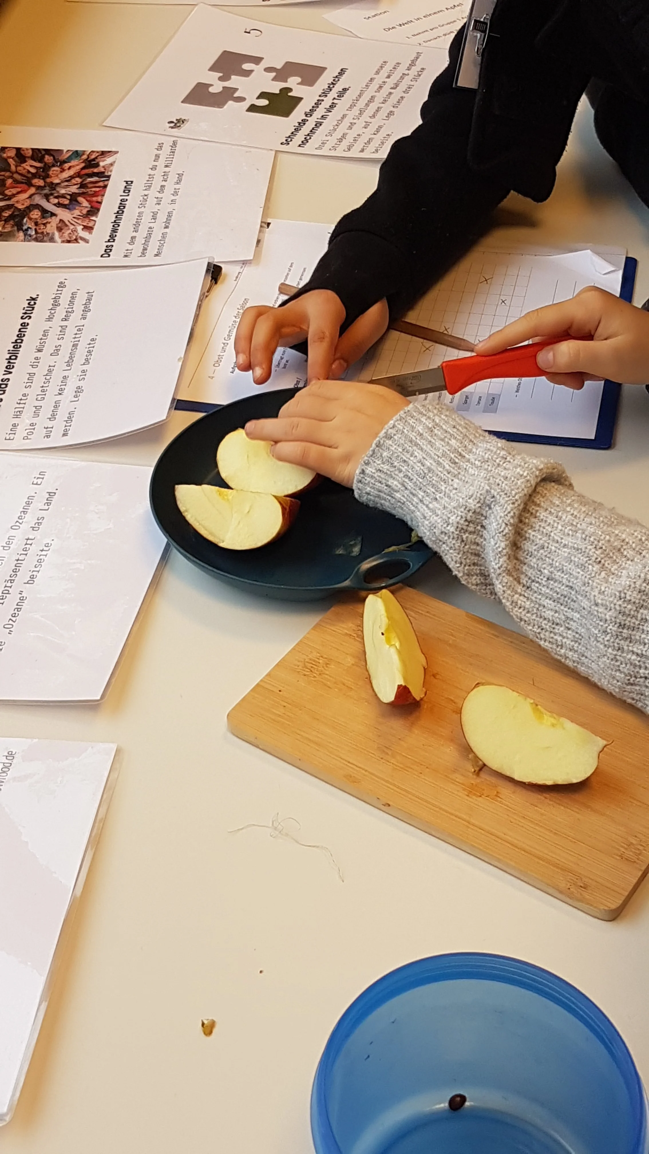 Die Welt in einem Apfel. Schuljahr der Nachhaltigkeit Thema Ernährung - WandelWerkstattWelt