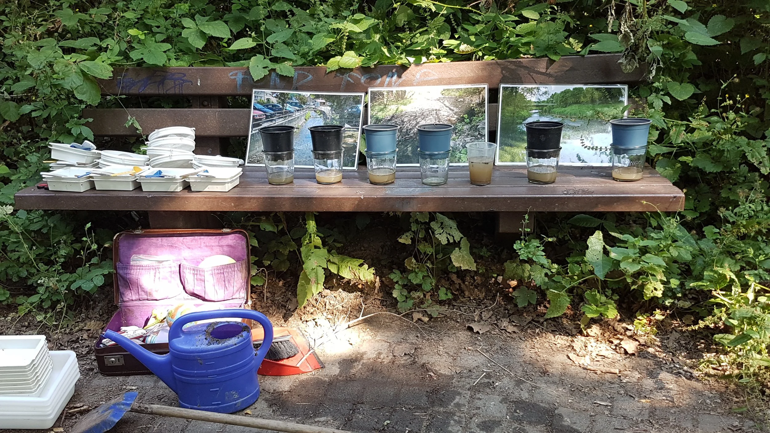 BNE - Schuljahr der Nachhaltigkeit - Biodiversität im Wasser - WandelWerkstattWelt