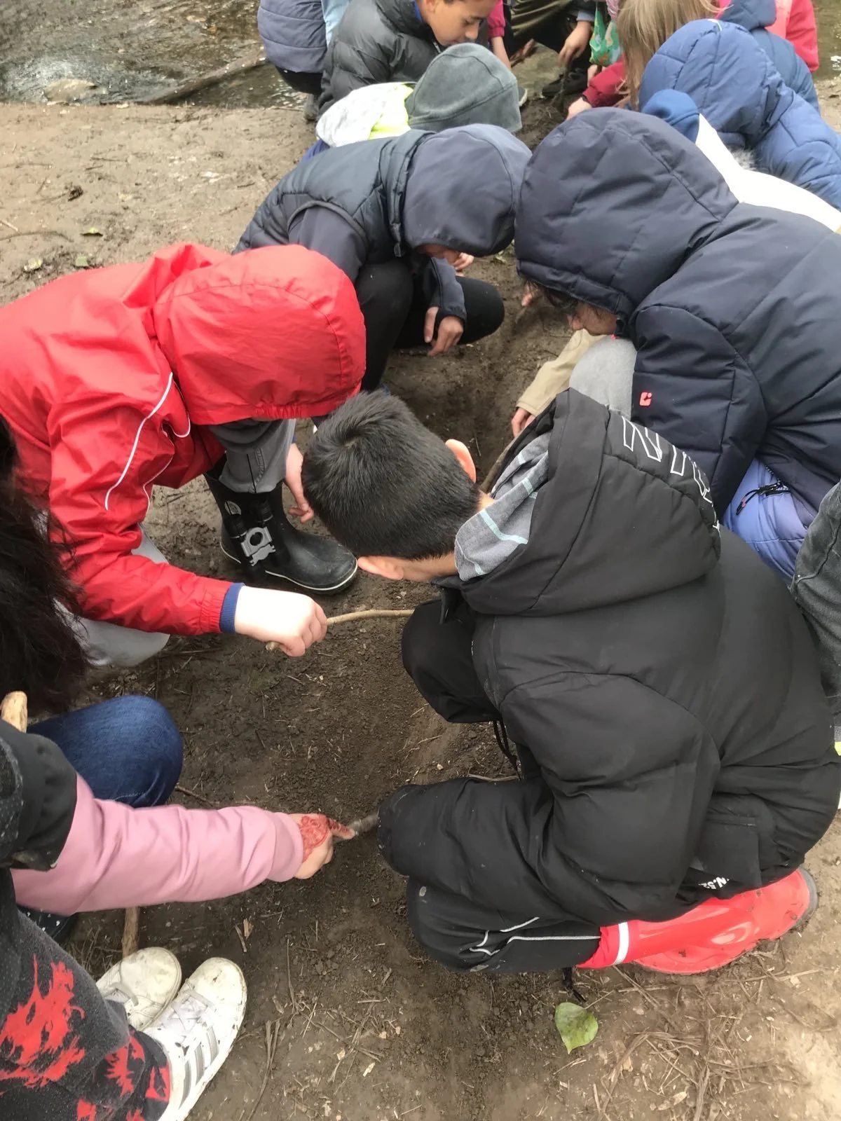 BNE - Schuljahr der Nachhaltigkeit - Biodiversität im Wasser - WandelWerkstattWelt