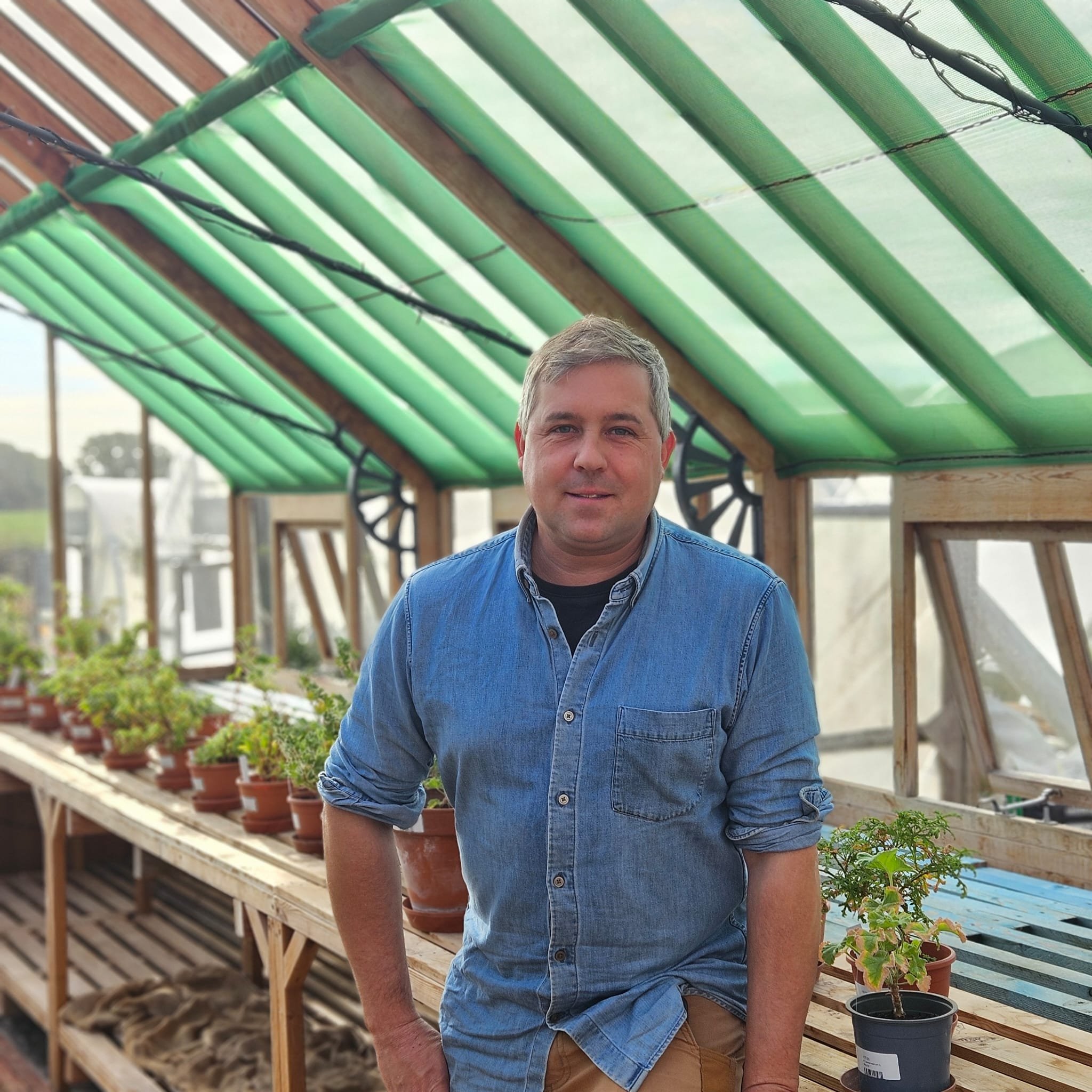 A man with gray hair standing in a greenhouse with green roof panels and wooden shelves lined with potted plants.