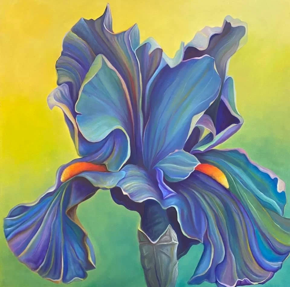 36" x 36" oil on canvas