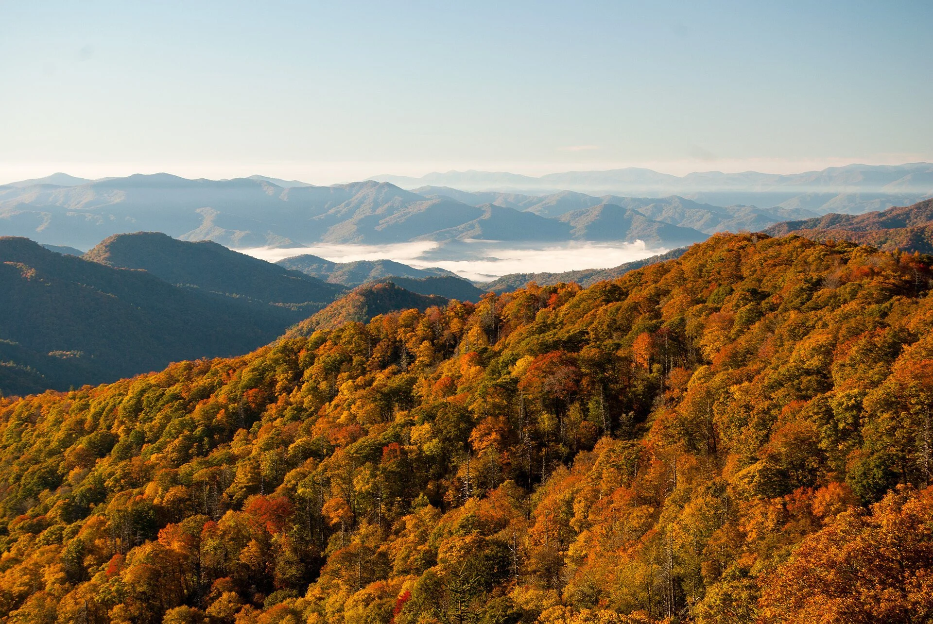 View of a mountain range with colorful autumn trees in the foreground and mist in the valleys.