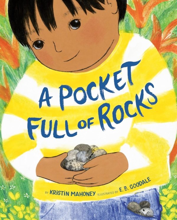 Pocket Full of Rocks MEDIUM.jpg