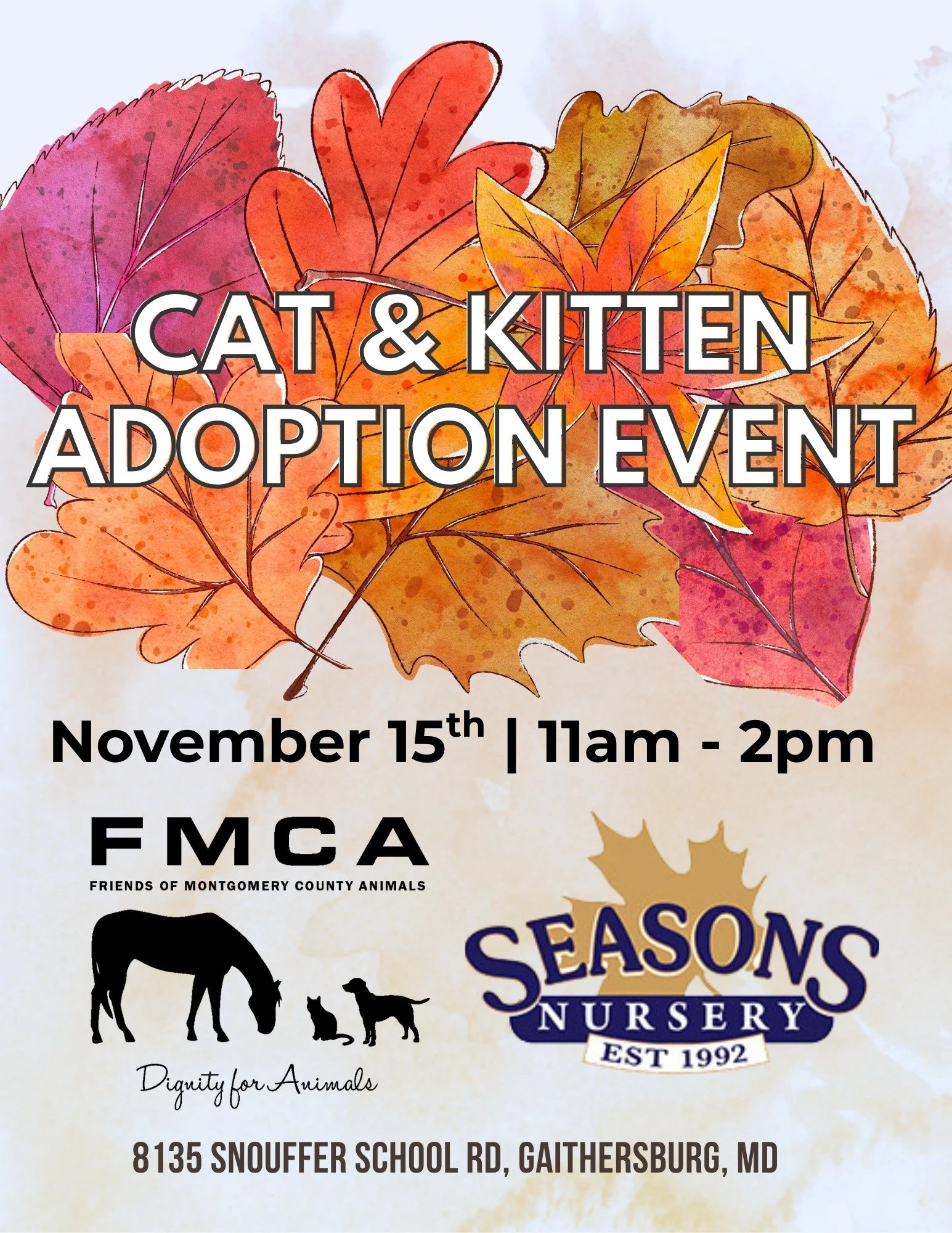 Adopt and Shop!