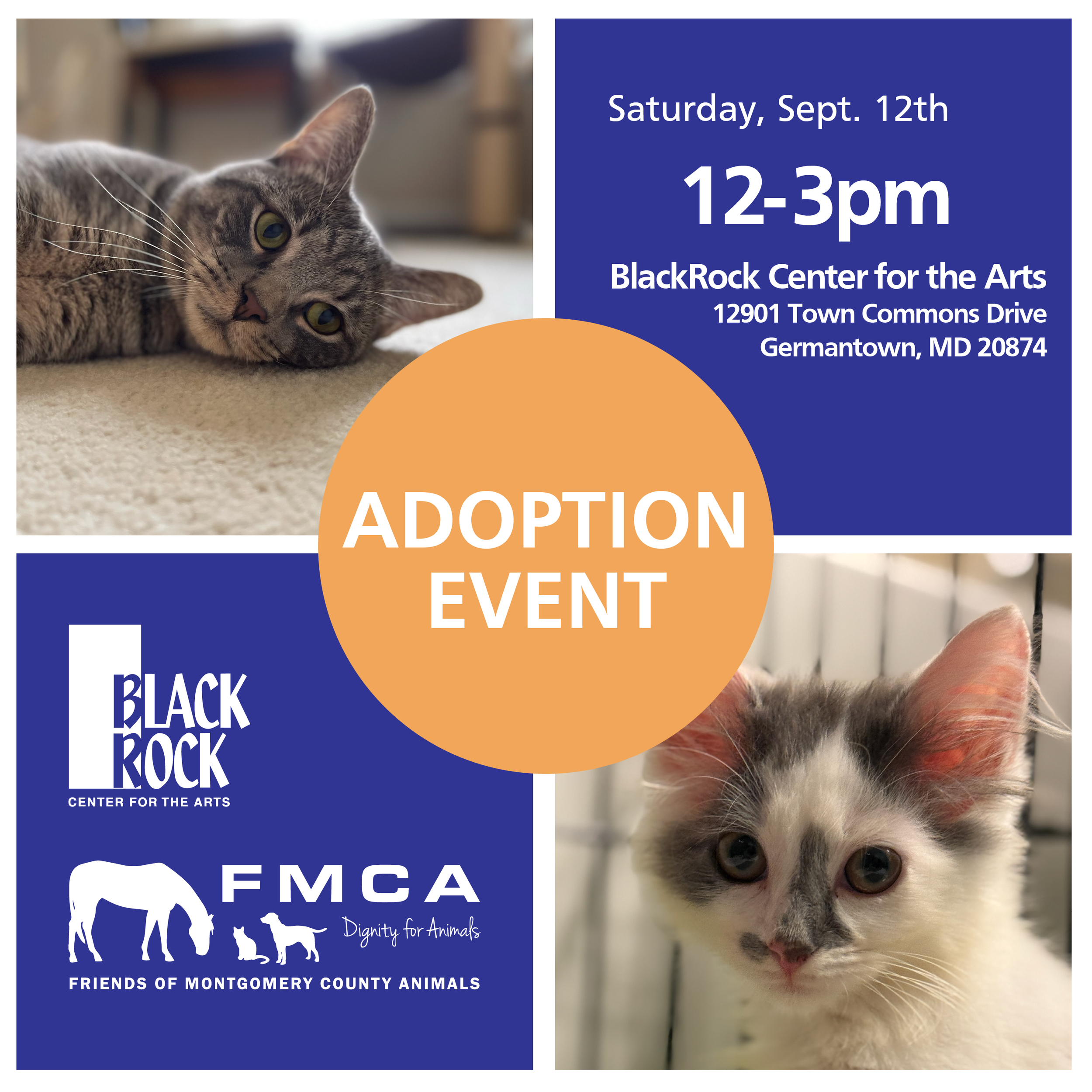 Adoption Event
