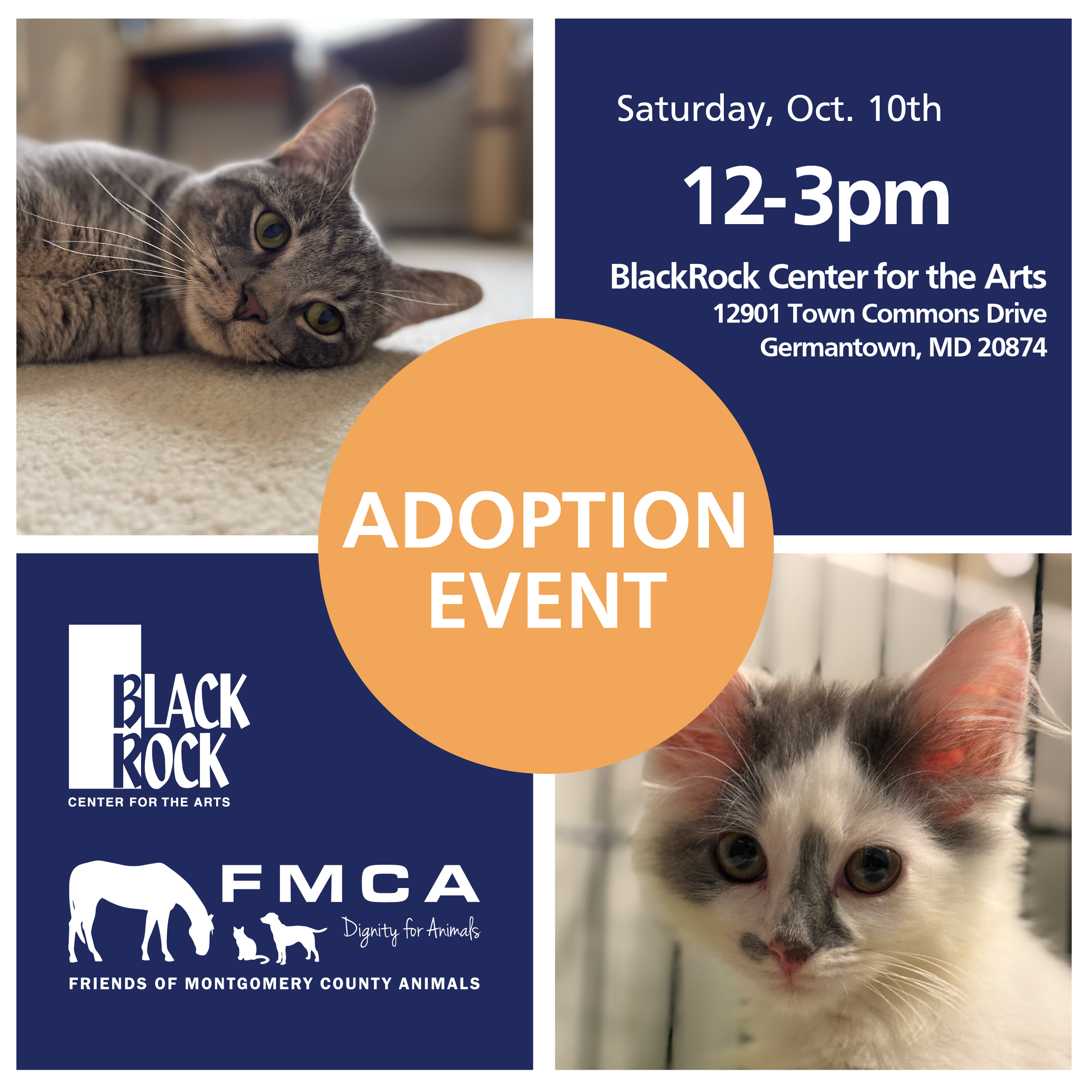 Adoption Event