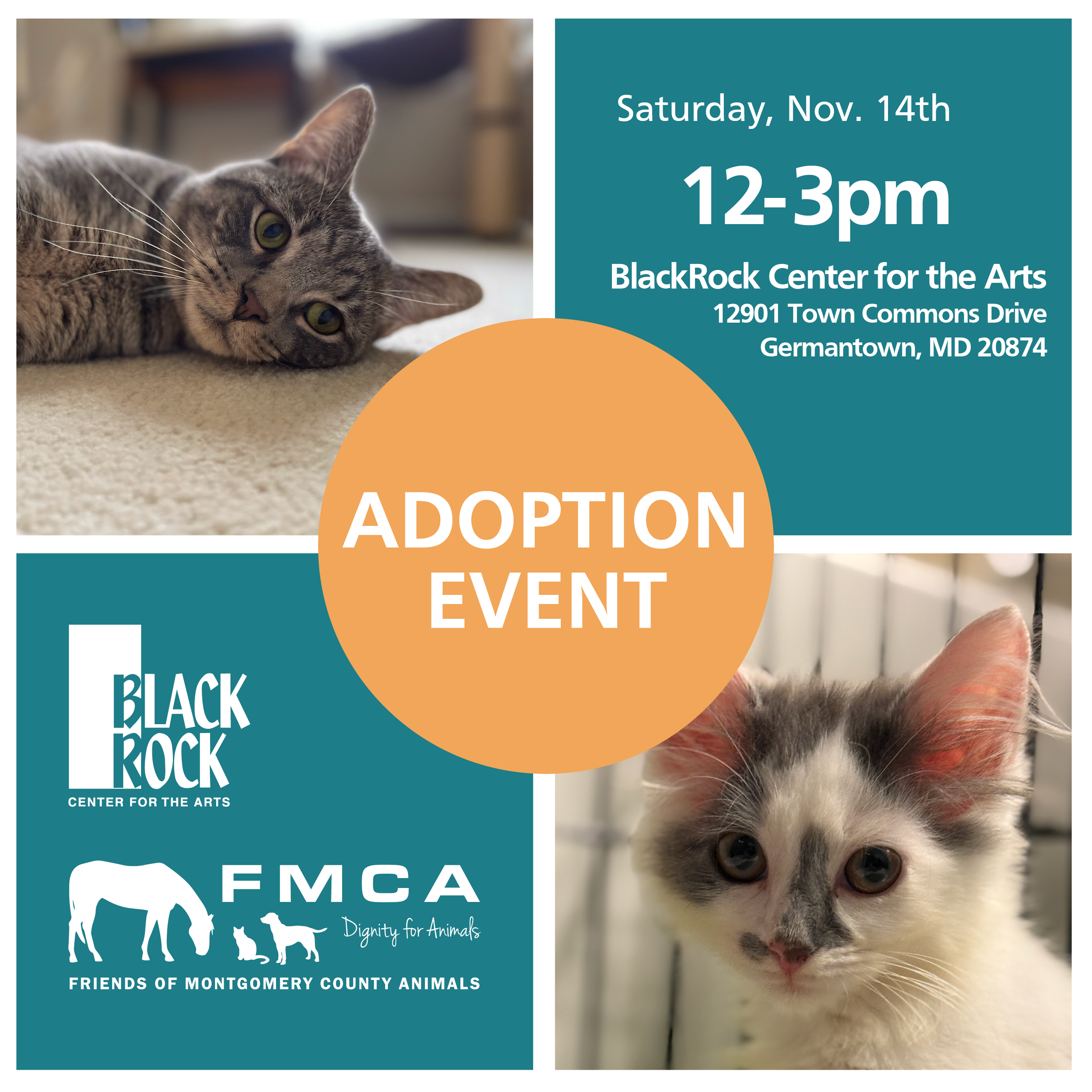 Adoption Event