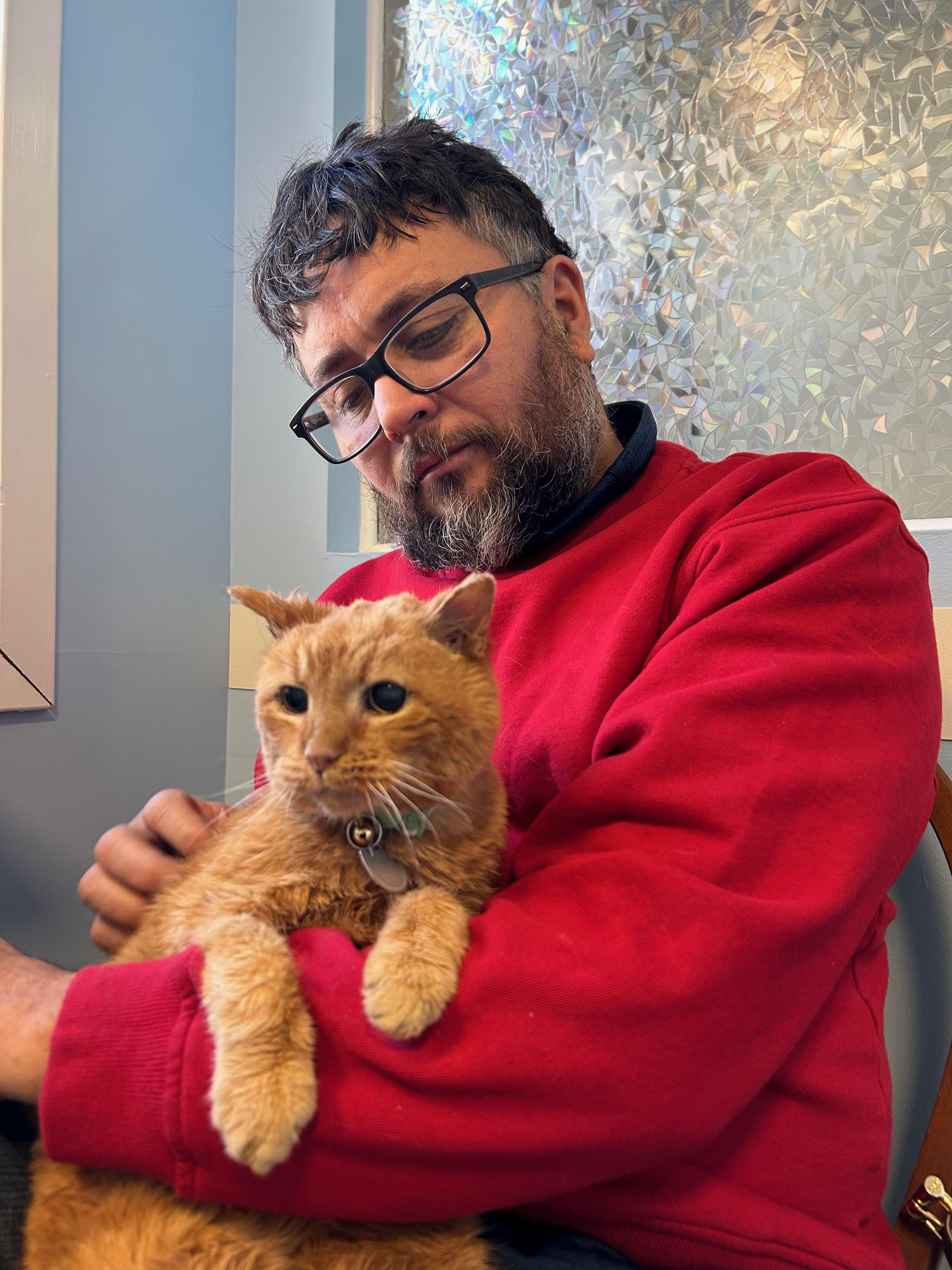 A man with glasses, dark hair, and a beard, wearing a red hoodie, is holding an orange tabby cat in his arms. They are seated indoors with a decorative wall behind them.