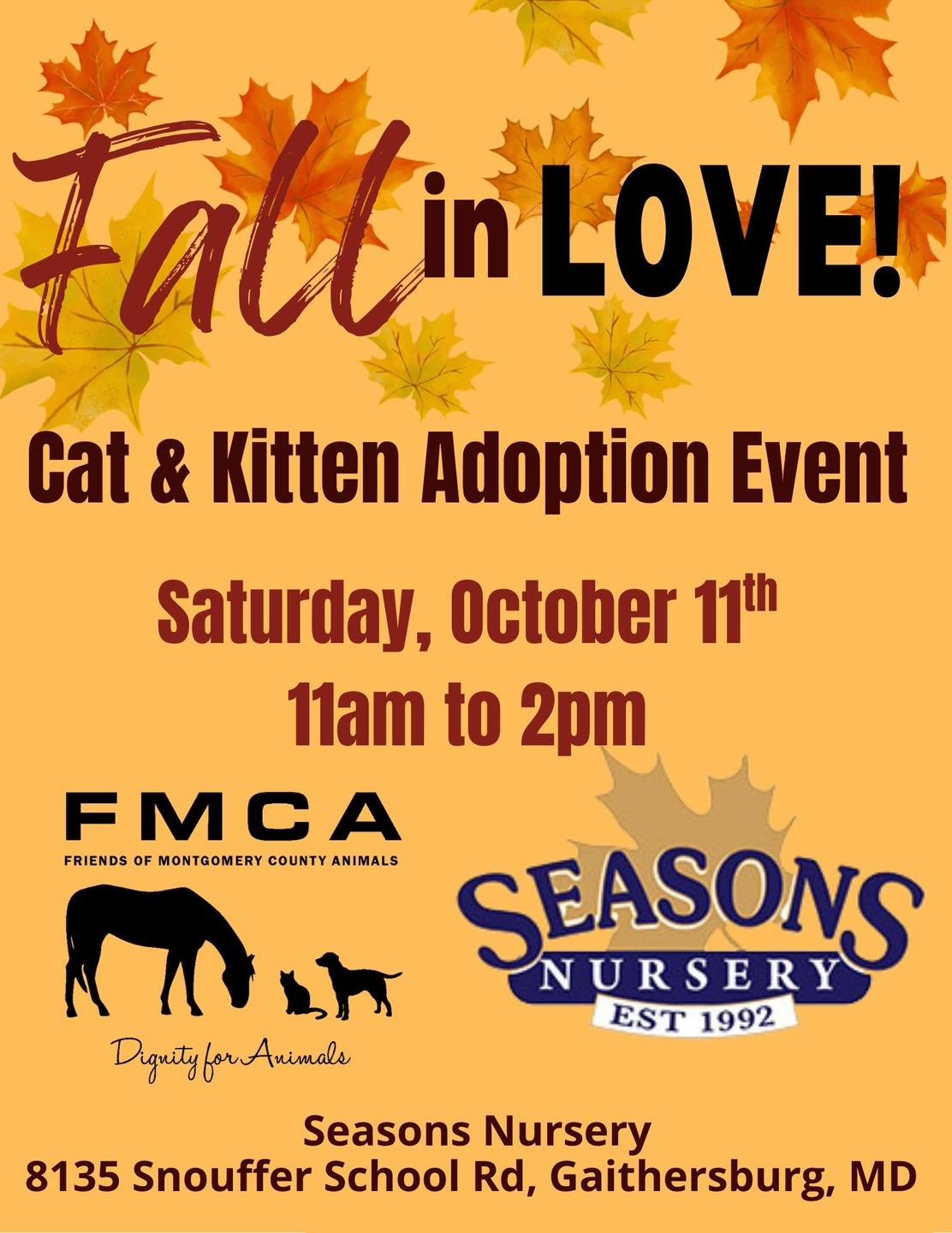 Cat & Kitten Adoption Open House