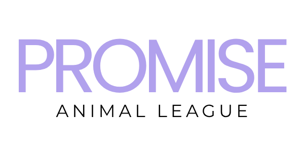 The word 'PROMISE' in purple text on a black background.
