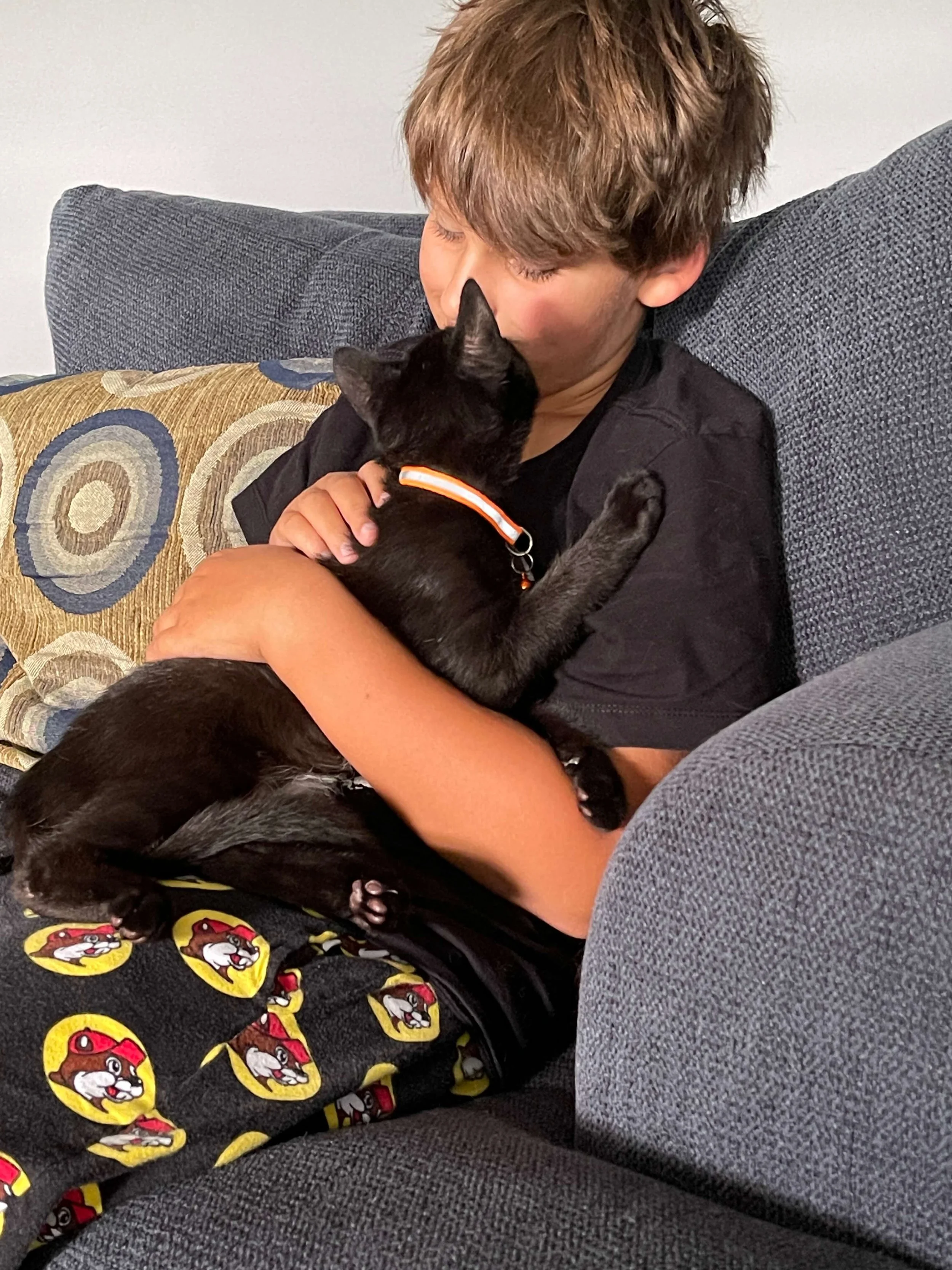 A boy with brown hair and a black shirt sitting on a gray couch, holding and kissing a black kitten with orange collar. The boy is wearing black pajama pants with cartoon characters on them.