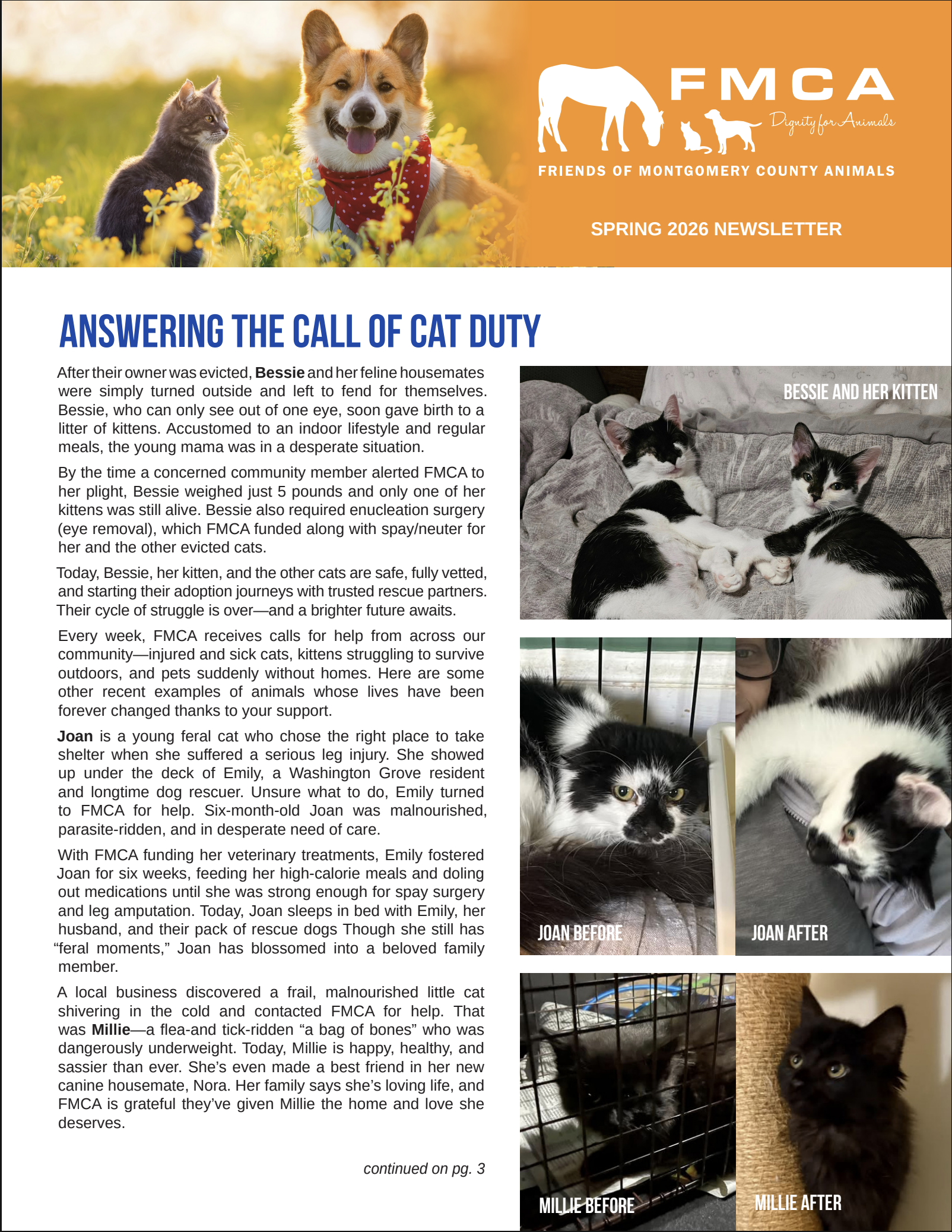 Newsletter cover with a dog and a cat in a field of yellow flowers, with orange banner displaying FMCA logo and text, and articles about rescued animals, including before and after photos of cats Millie and Joan.