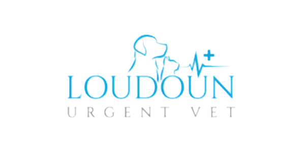 Loudoun Hardware logo with a stylized hammer and blue and purple text.