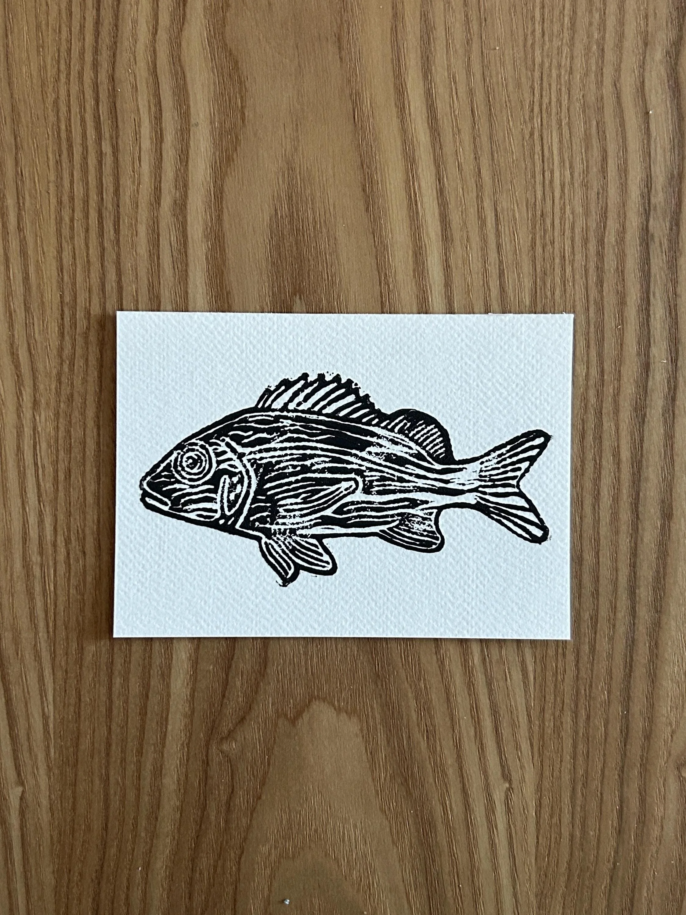 Fish postcard