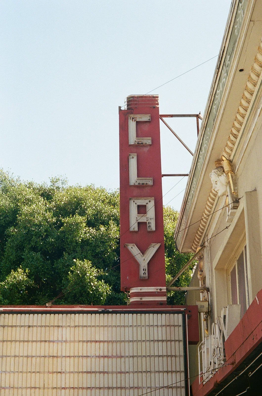 Vintage neon sign spelling 'CLAY' on an old building with decorative molding and a green leafy tree in the background.