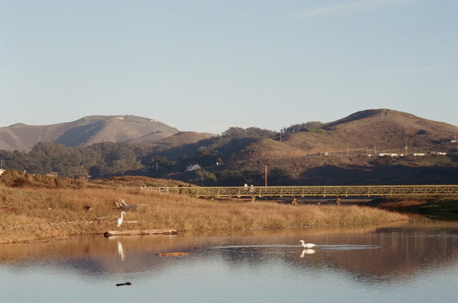Scenic landscape with a calm body of water in the foreground, two white birds standing and swimming, grassy shores, rolling hills, and distant mountains under a clear blue sky.