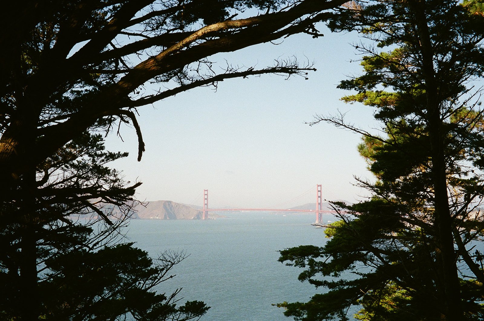 View of the Golden Gate Bridge seen through trees with green foliage, with a clear sky and water in the foreground.